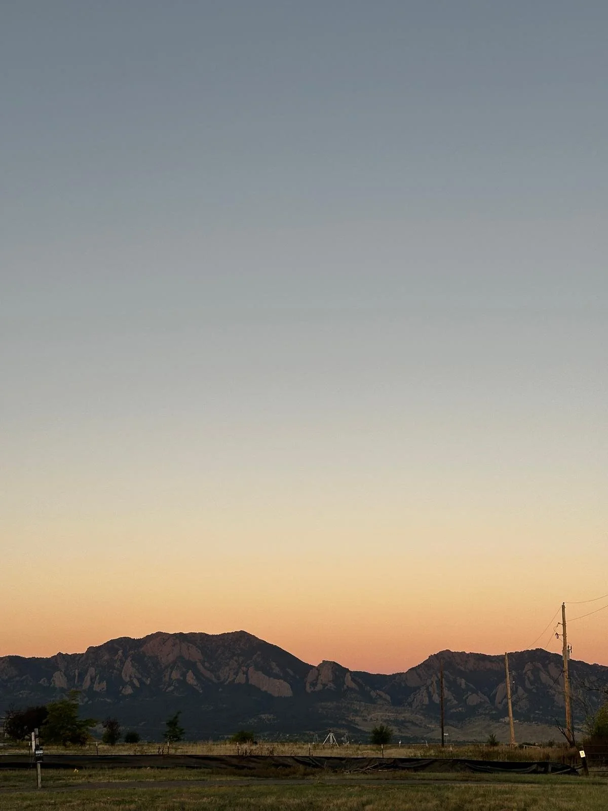 counseling and therapy