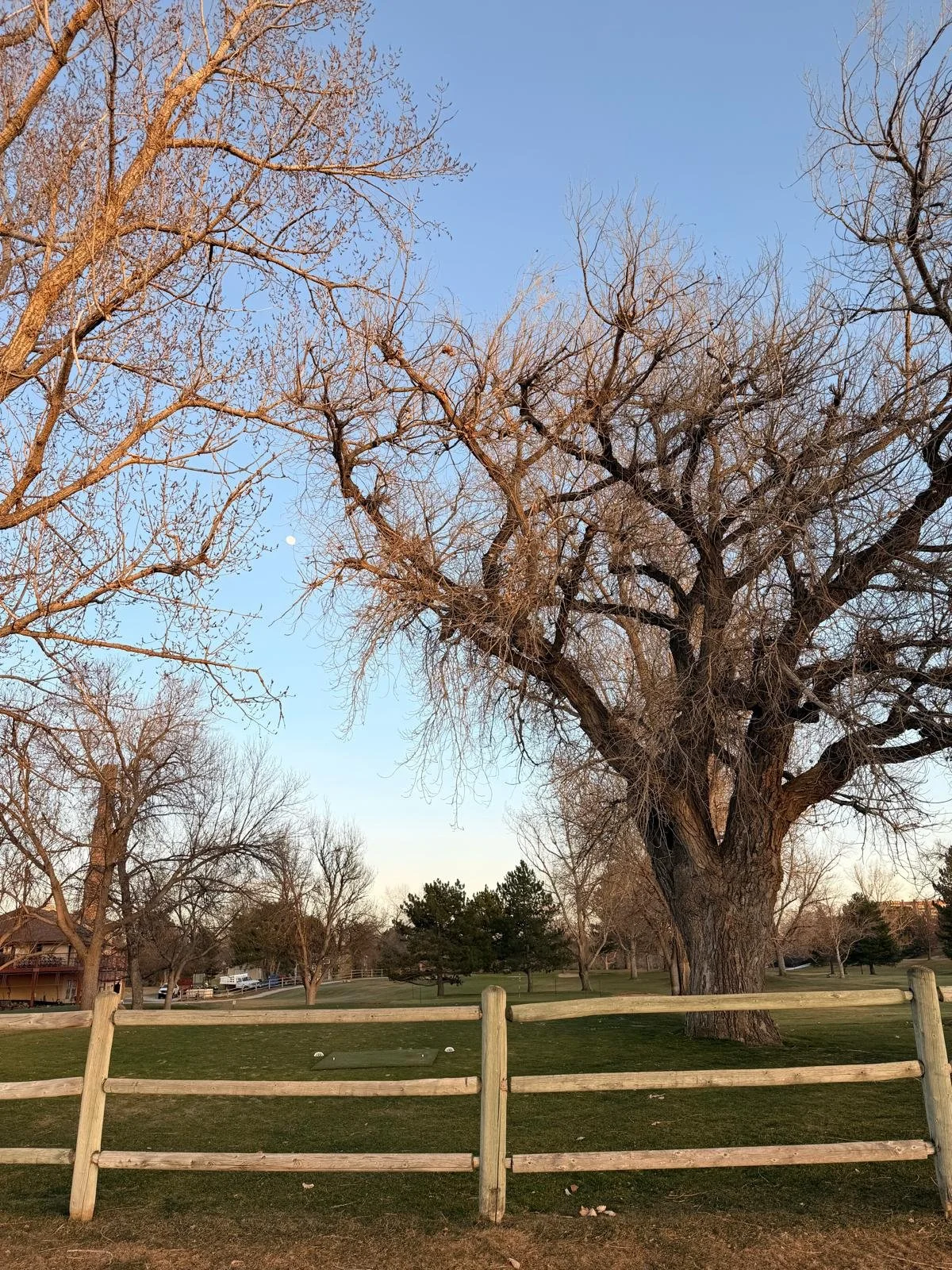 coaching and consulting