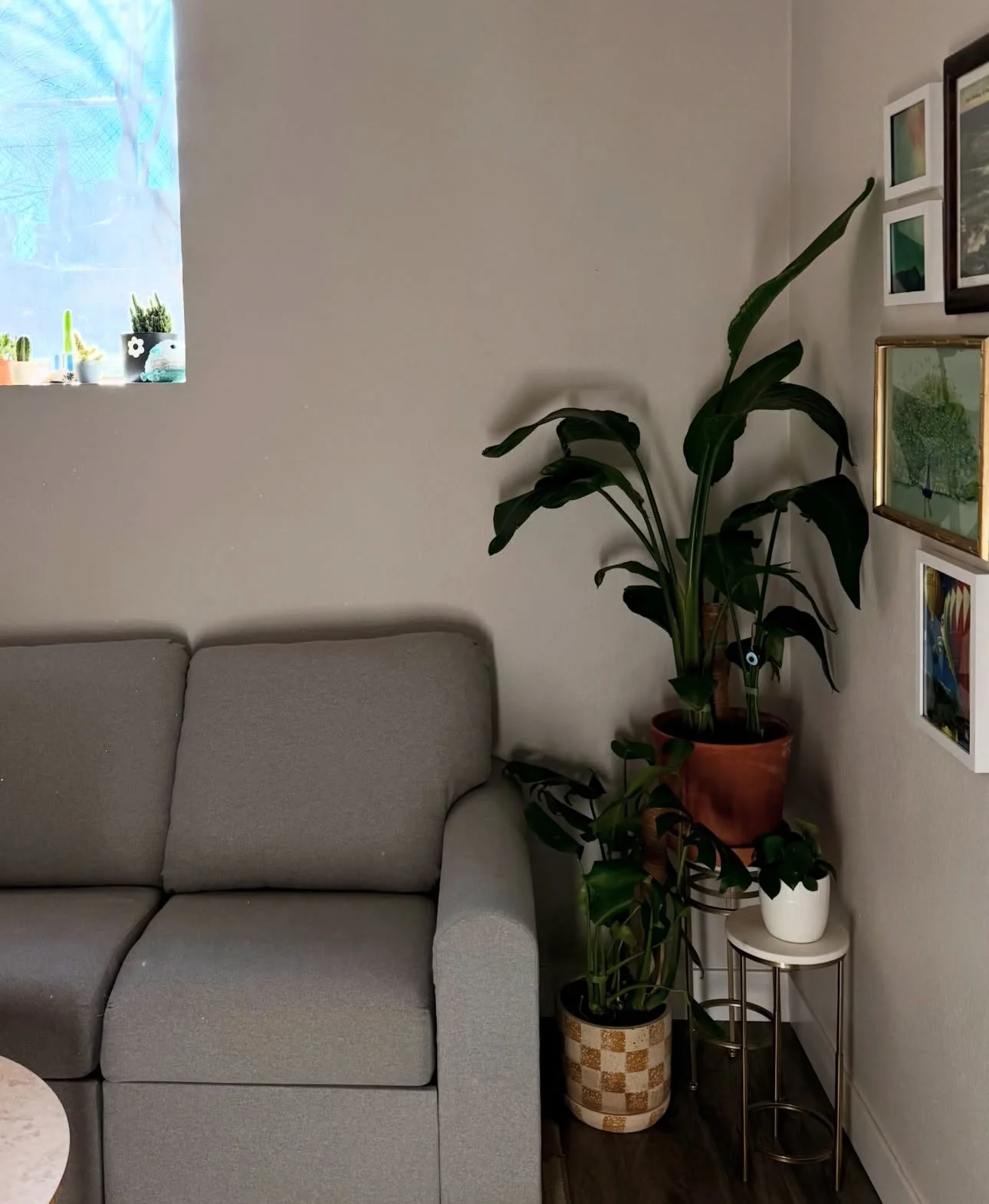 counseling and therapy