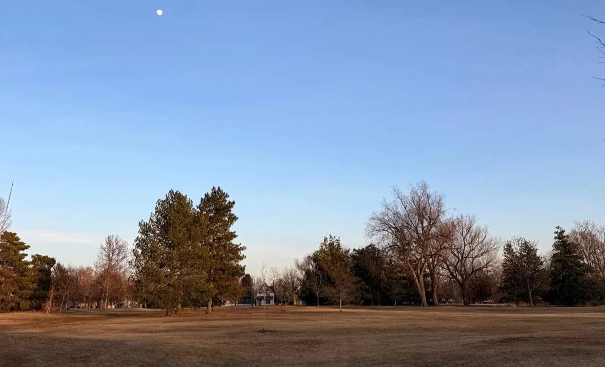 counseling and therapy