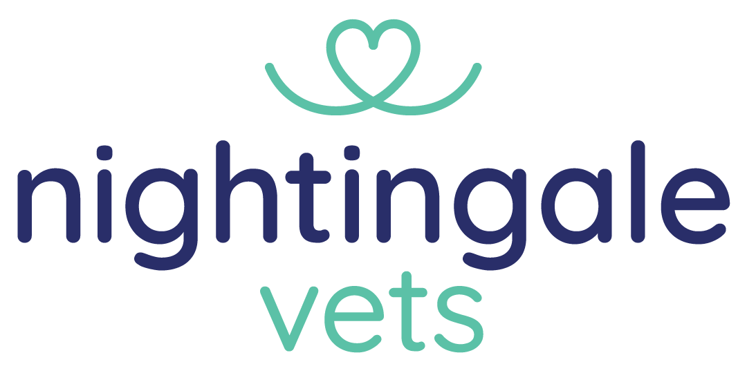 Nightingale Vets