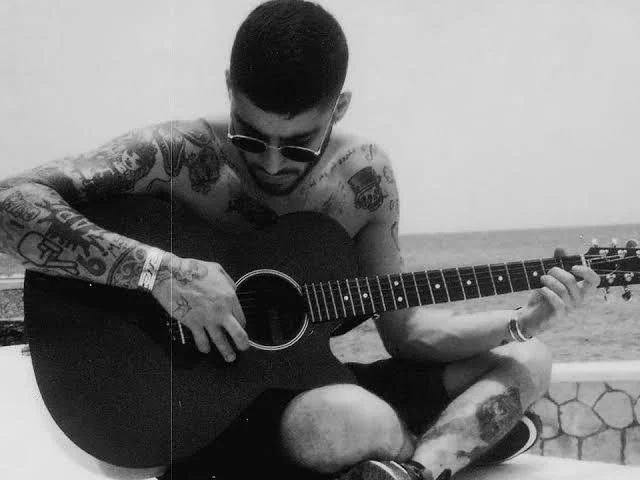 REVIEW // From the Archive: ZAYN, “INTERMISSION: fLoWer”