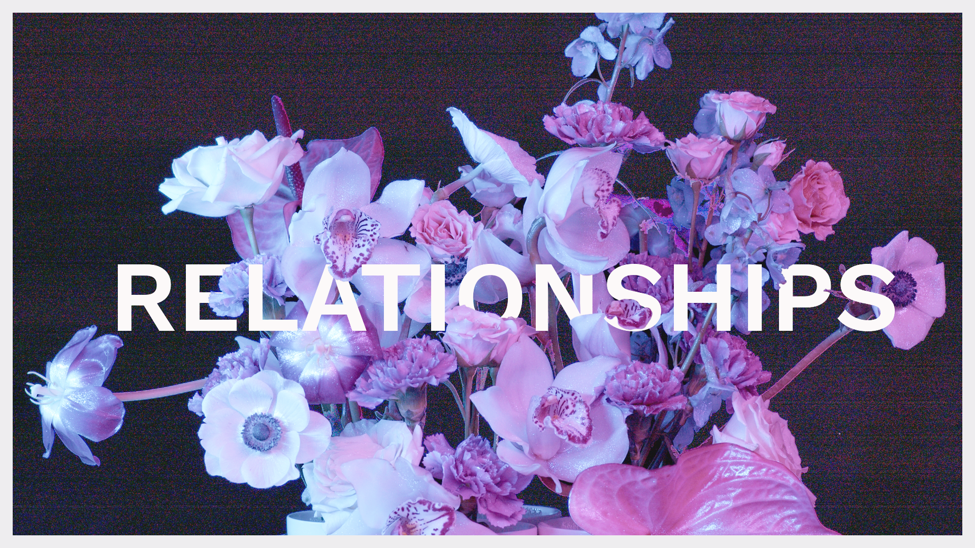 000.rally.socialmedia.february.relationships-01.png
