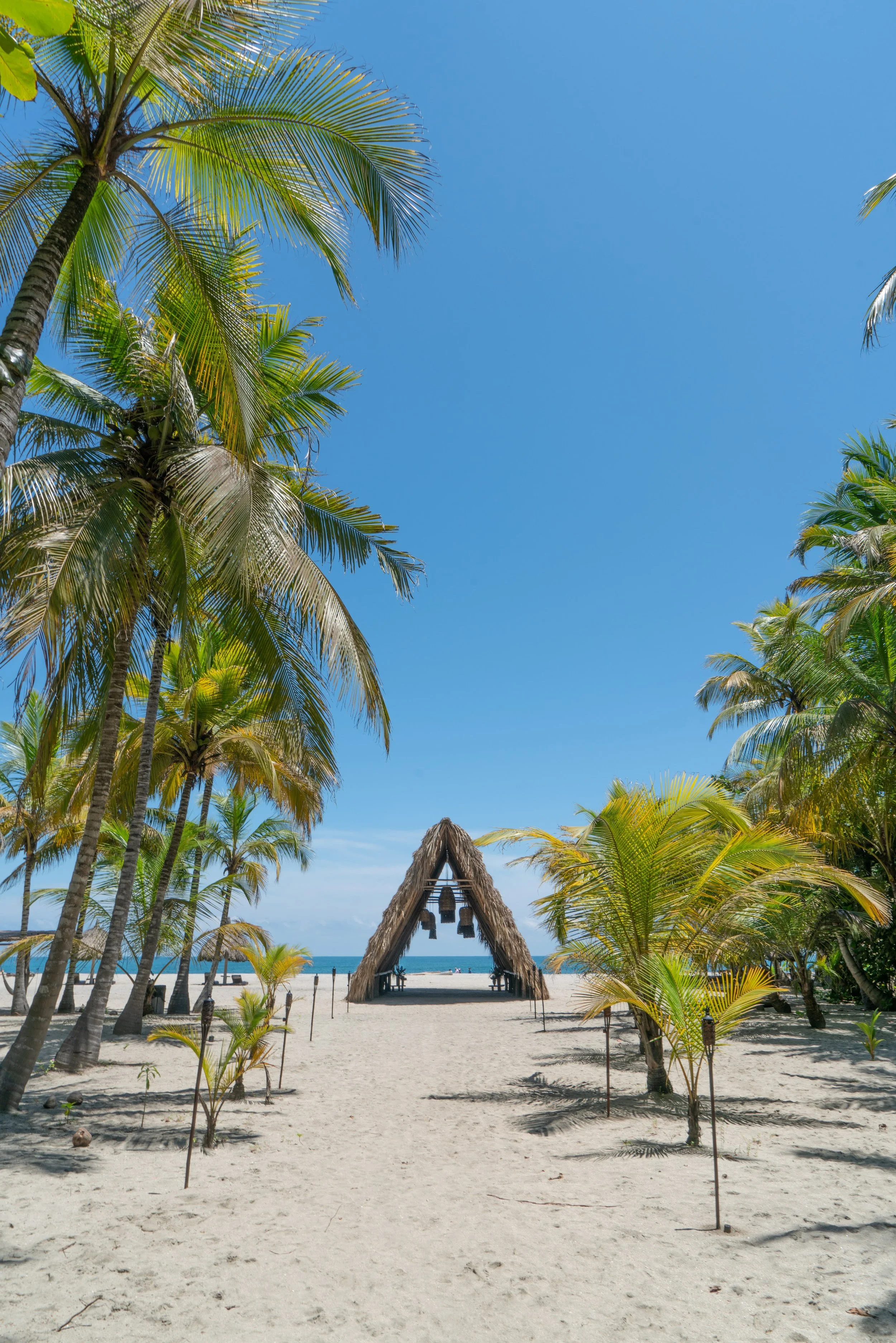 Gitano Del Mar by RMP 46.jpg