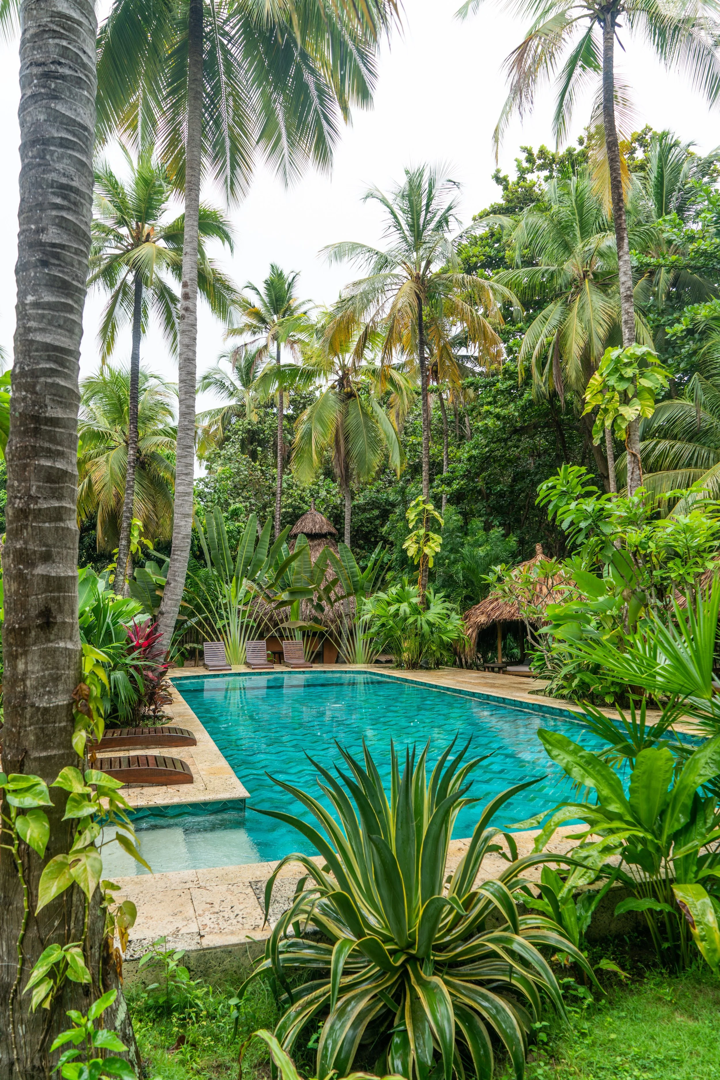 Gitano Del Mar by RMP 50.jpg