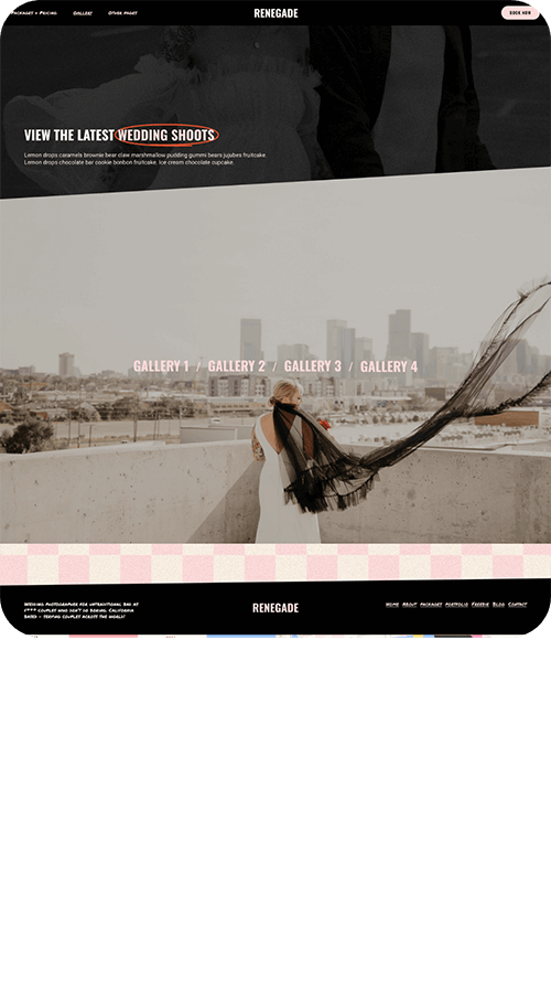 Screenshot of Renegade website template portfolio page 
