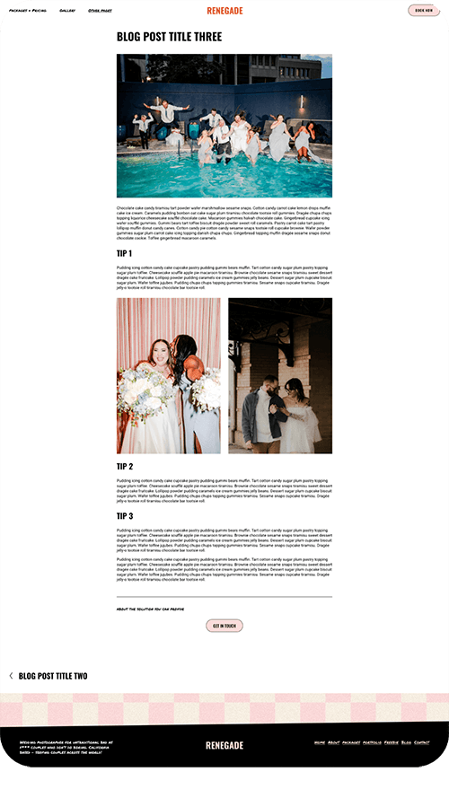 Screenshot of Renegade website template blog post page 