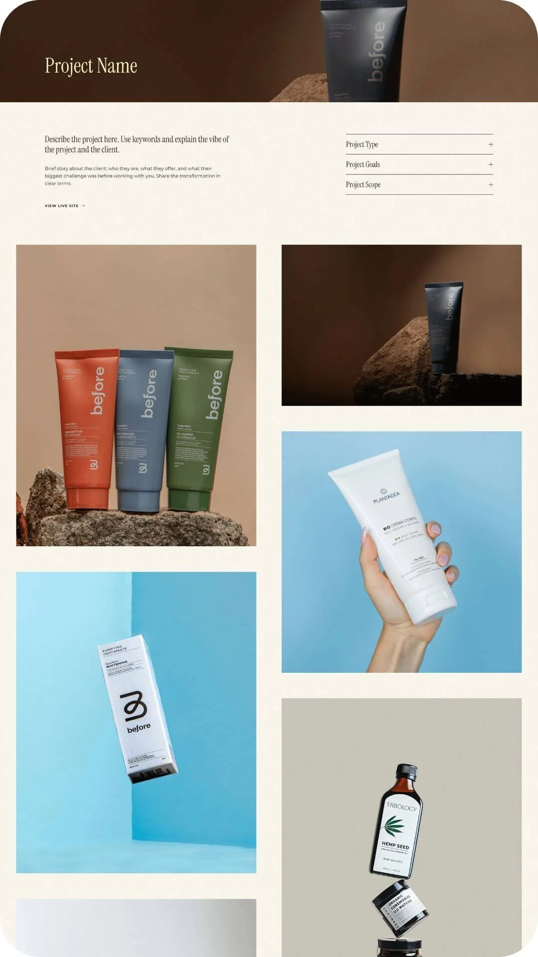 Portfolio Project 2.jpg