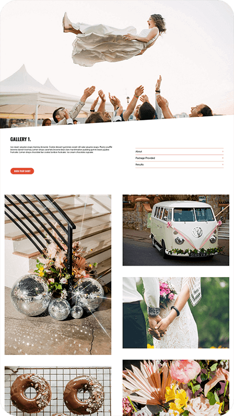 Screenshot of Renegade website template gallery layout 1 page 