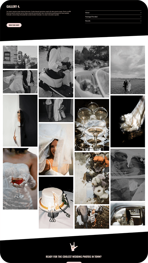 Screenshot of Renegade website template gallery layout 4 page 