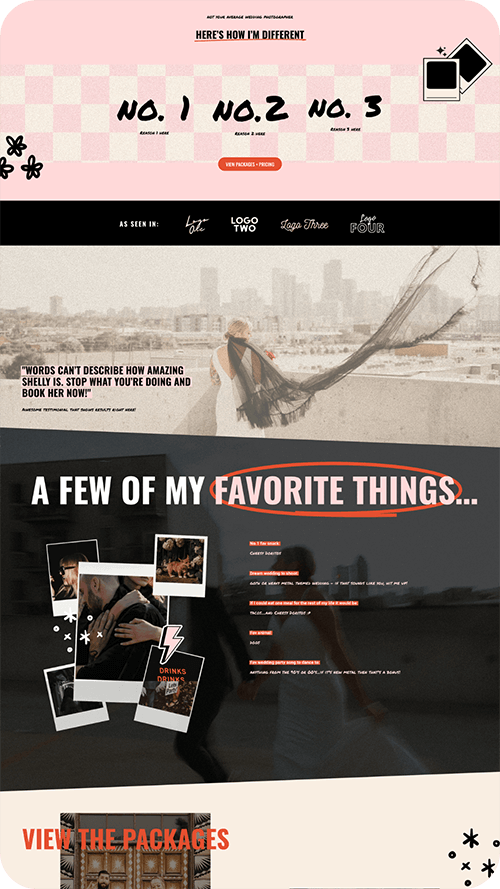 Screenshot of Renegade website template about page 