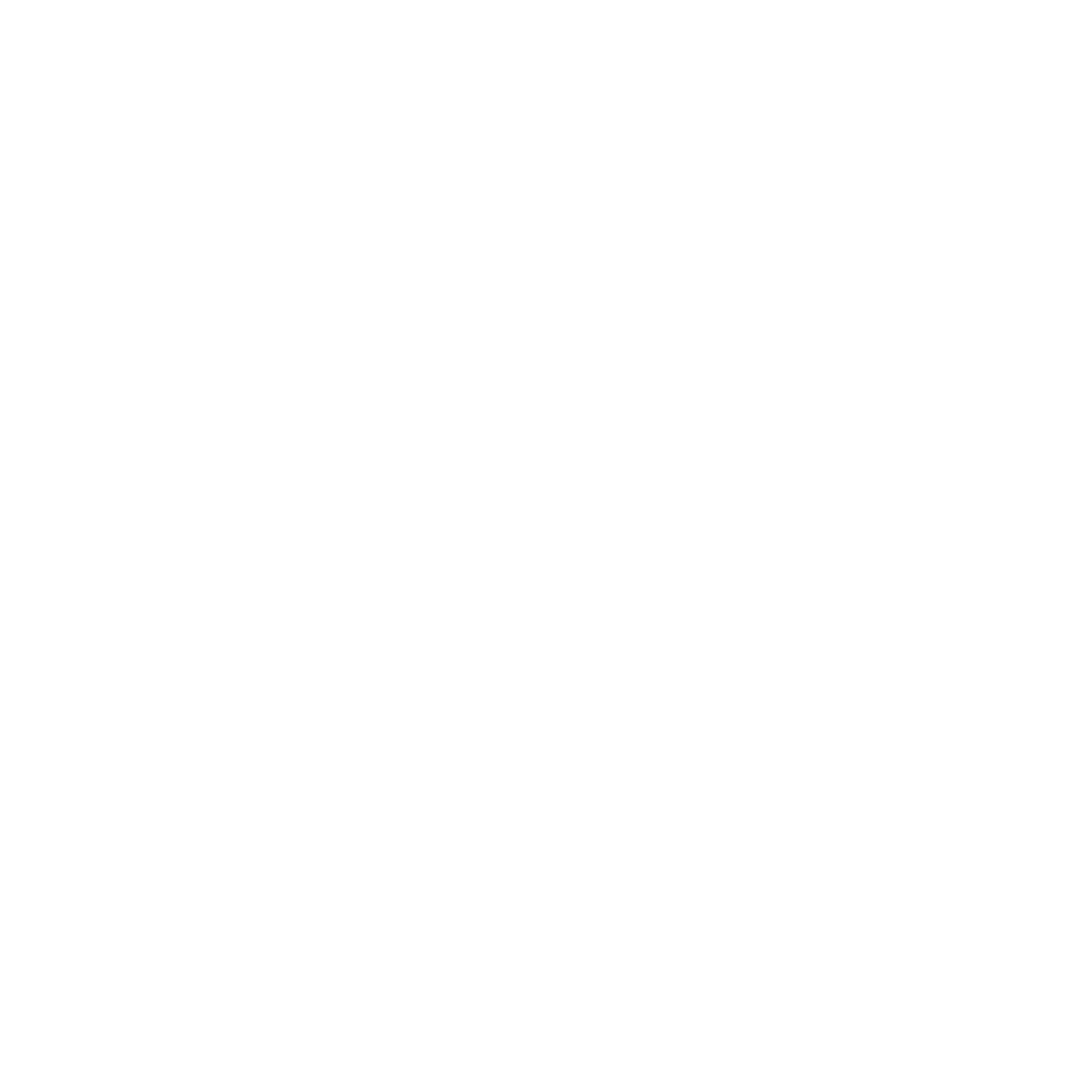 Rare Beauty Brands