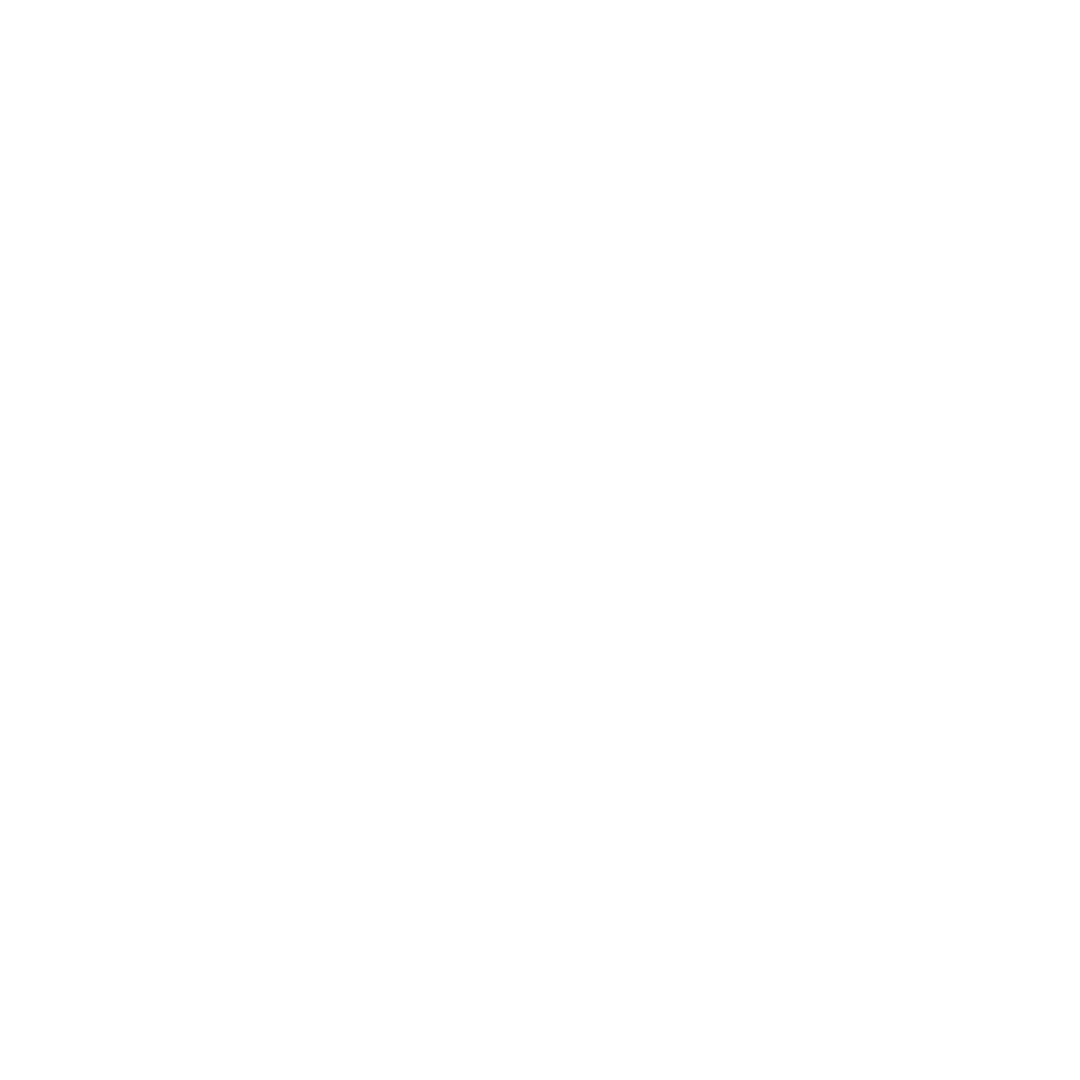 Sally Beauty
