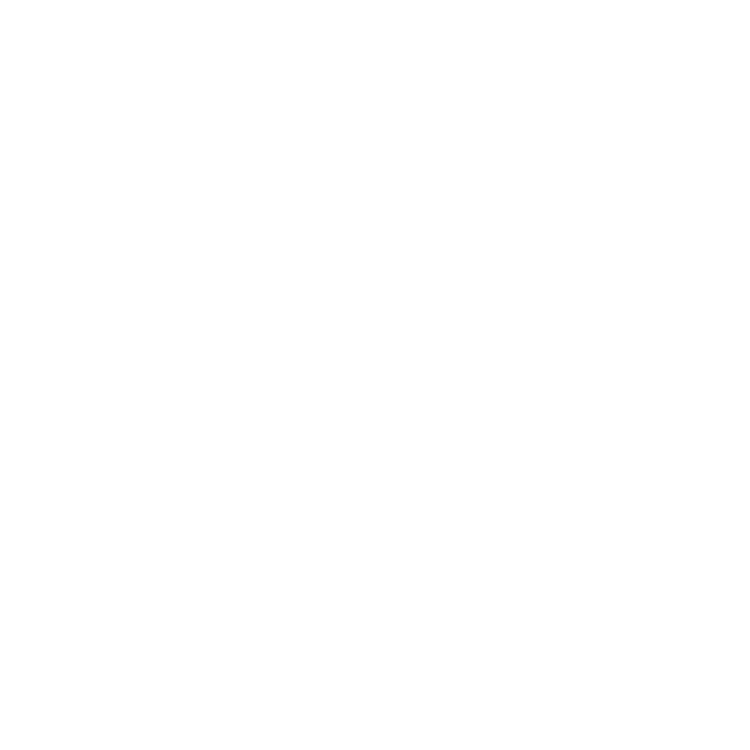 Lane Bryant