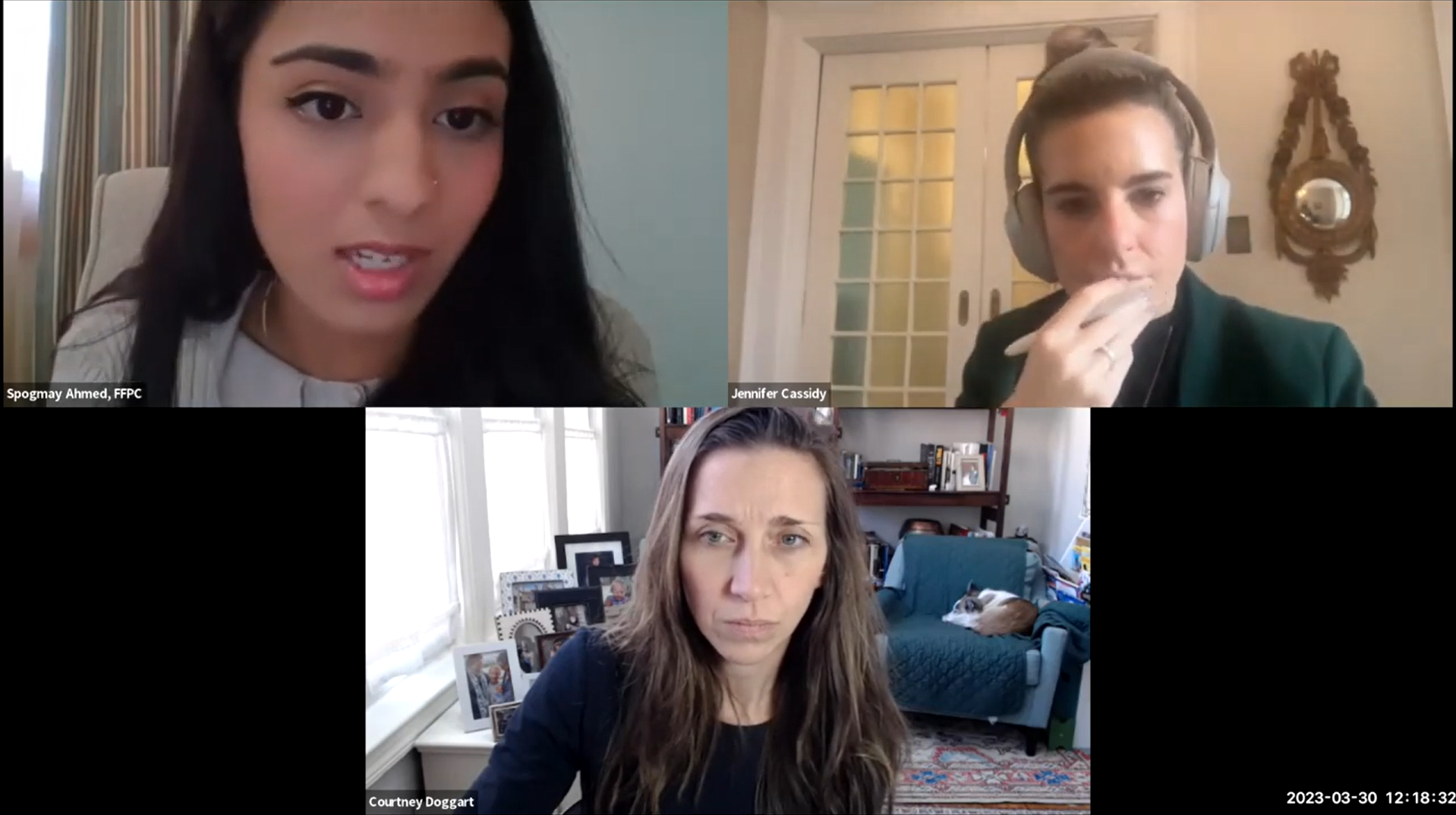  The Promise and Pitfalls of a Feminist Foreign Policy