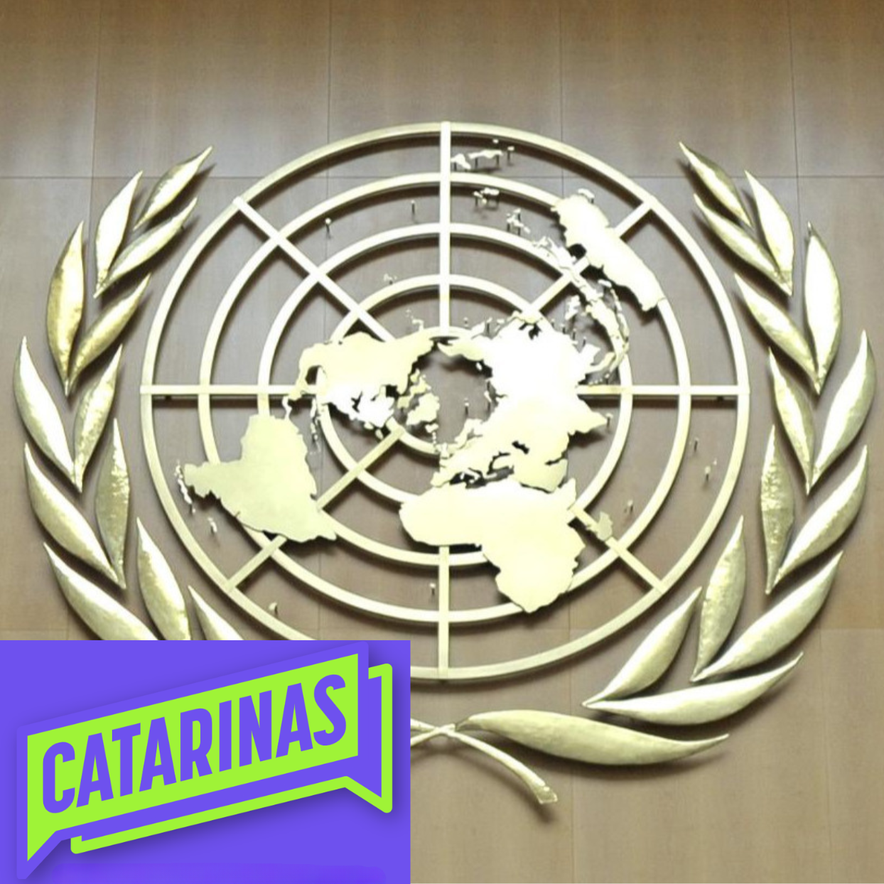 O futuro da ONU: um olhar a partir da América Latina e do feminismo