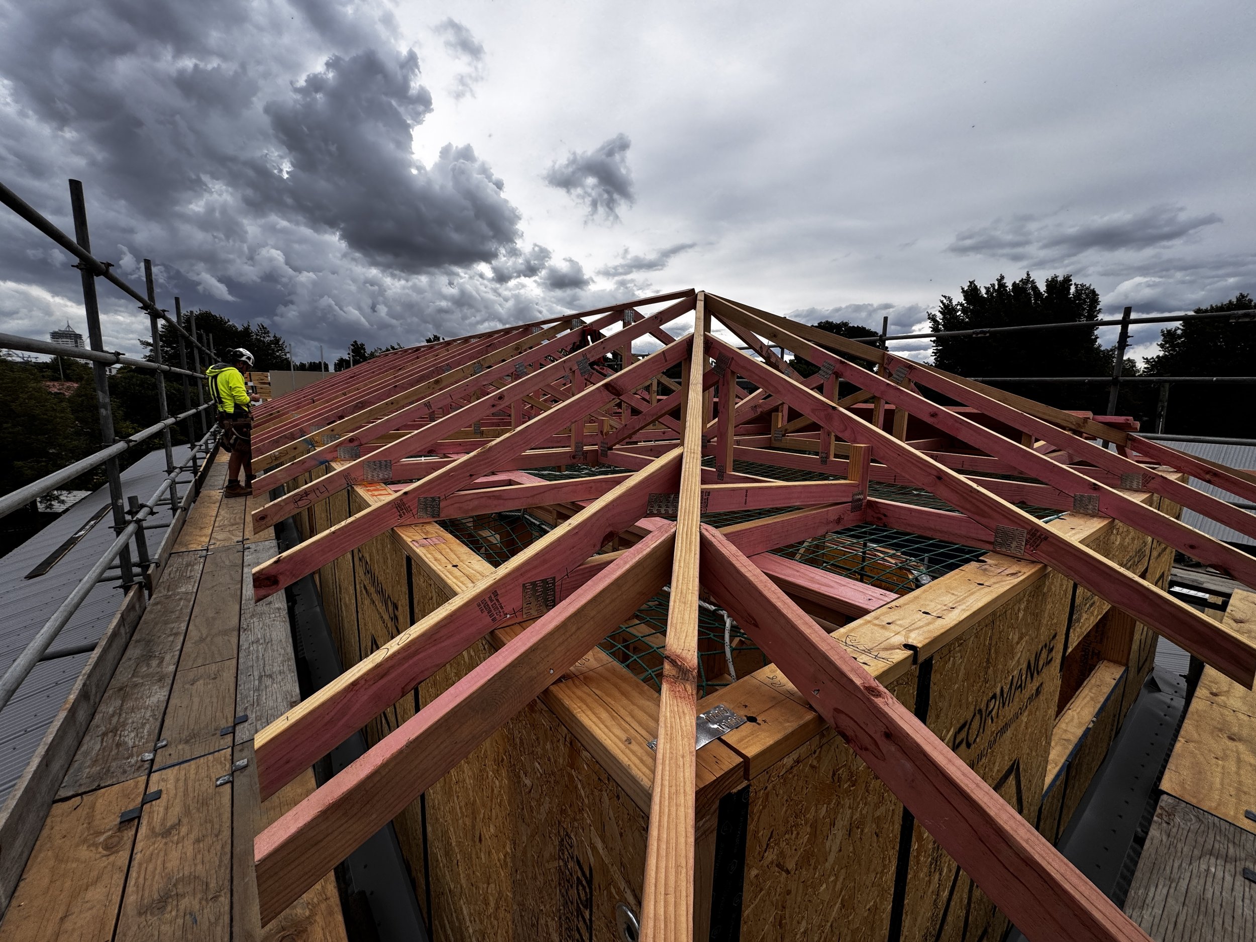 elm grove  roof framing.JPG