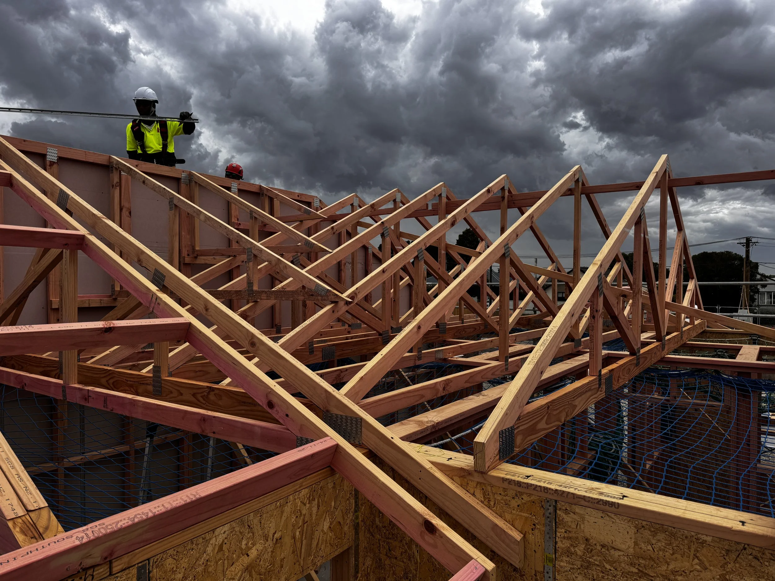 griffiths ave rof framing.JPG