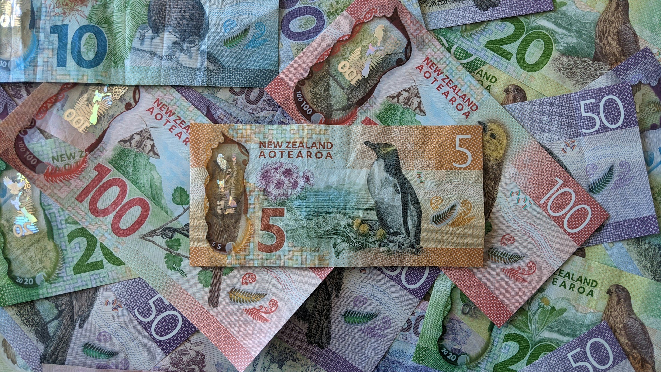 Various New Zealand banknotes scattered, including $5, $10, $20, $50, and $100 notes with images of native birds, landscapes, and plants.