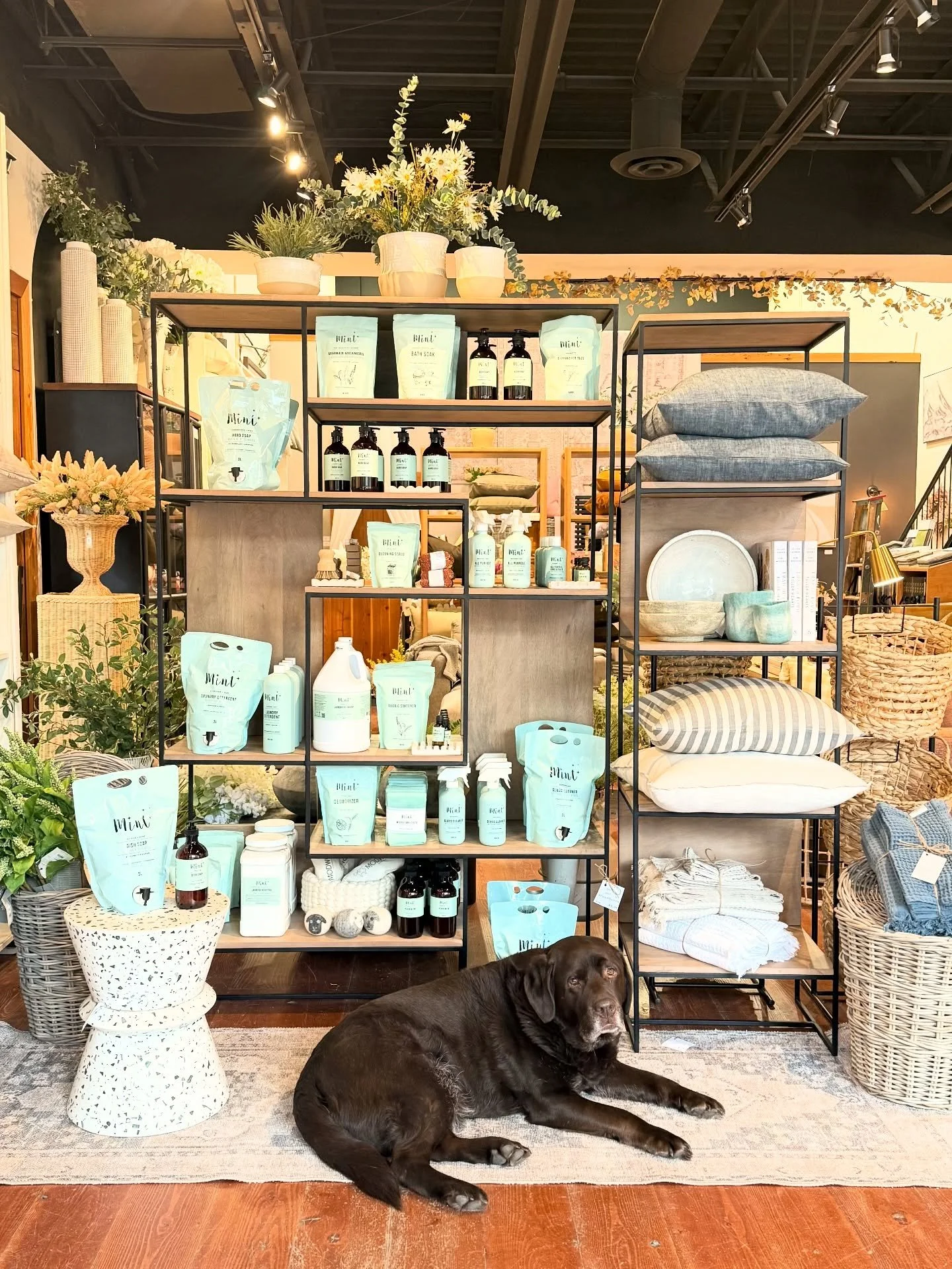 Calling all @mintcleaning_ lovers 🧼🫧 You can now stock up on all of your favourite cleaning, laundry + self care products LOCALLY 🩵 We&rsquo;ve now got (almost) their entire line in stock. If there&rsquo;s anything you need + we don&rsquo;t alread