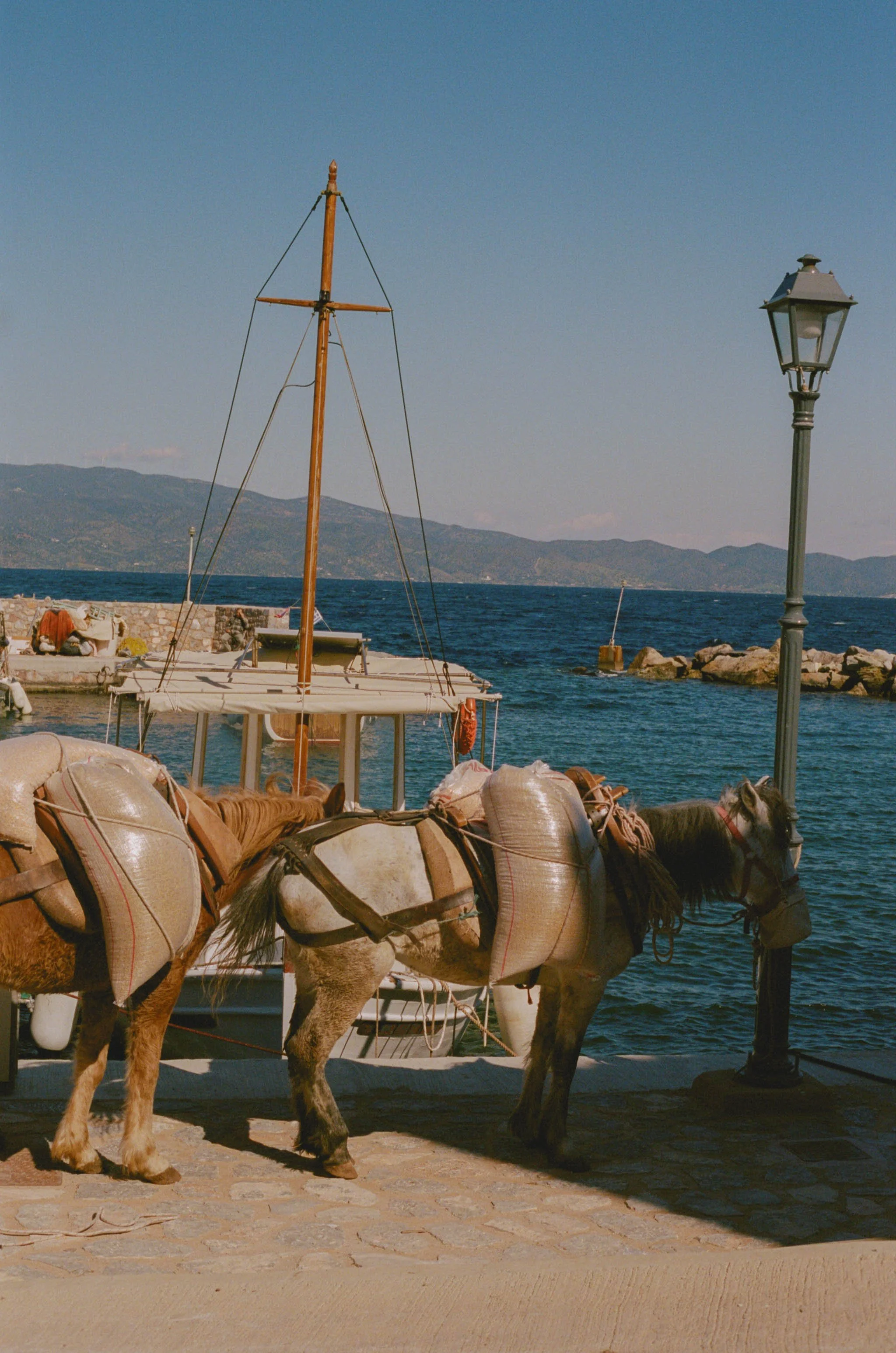 juliadrabczk_carley_malibu-91.jpg