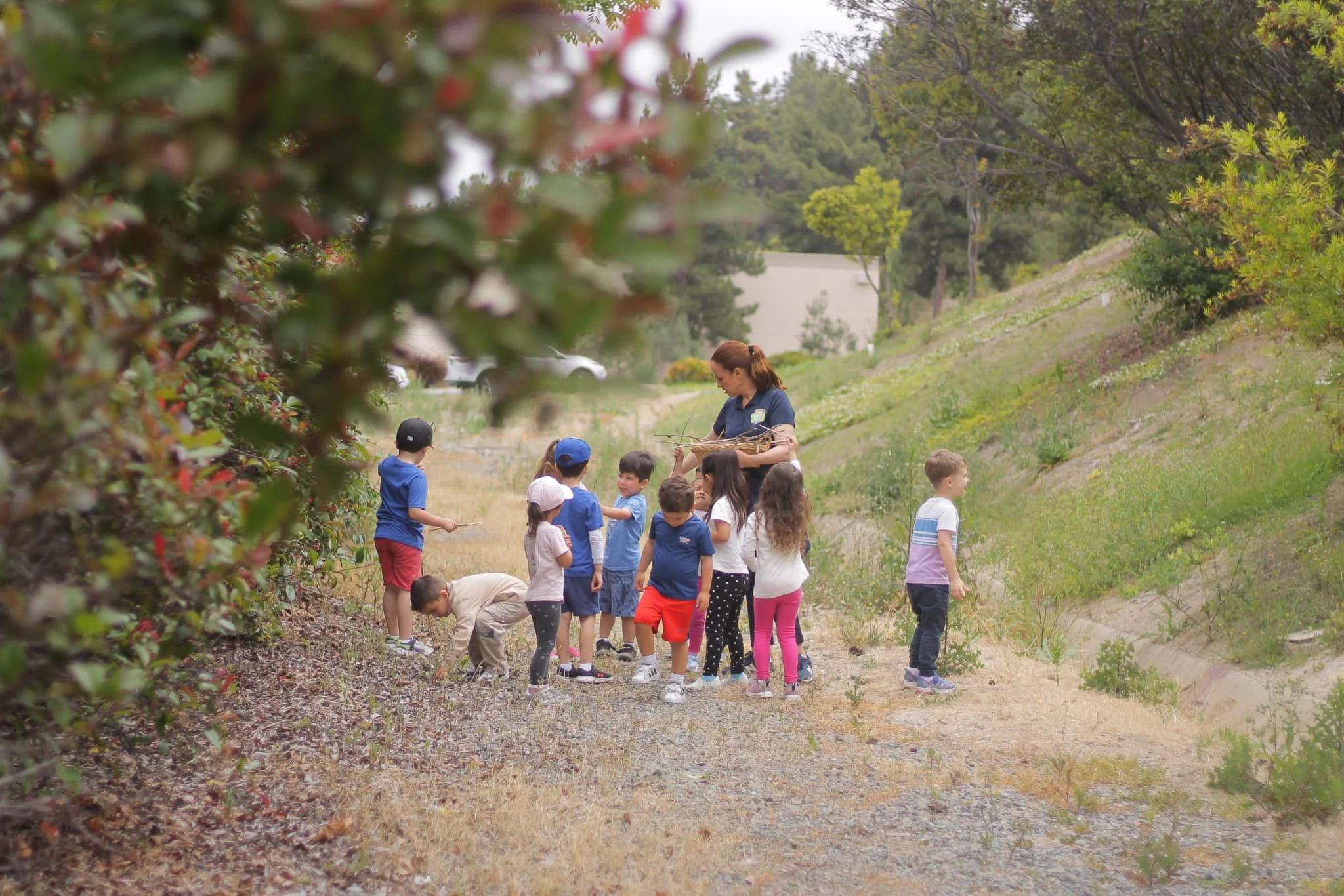 Exploring Nature Green Hills Bilingual 1.jpg
