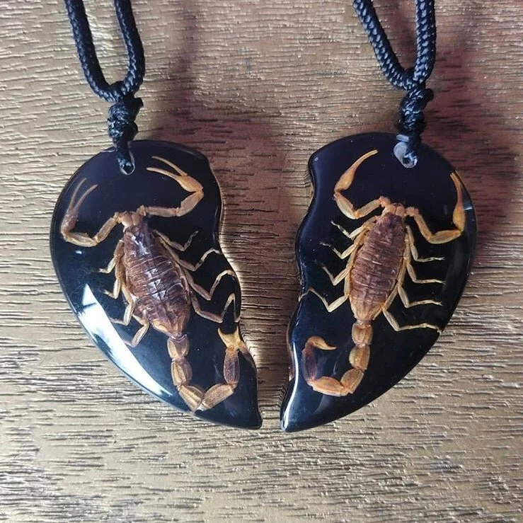 SCORPION PIECE HEART NECKLACE SET — The Strange And Unusual