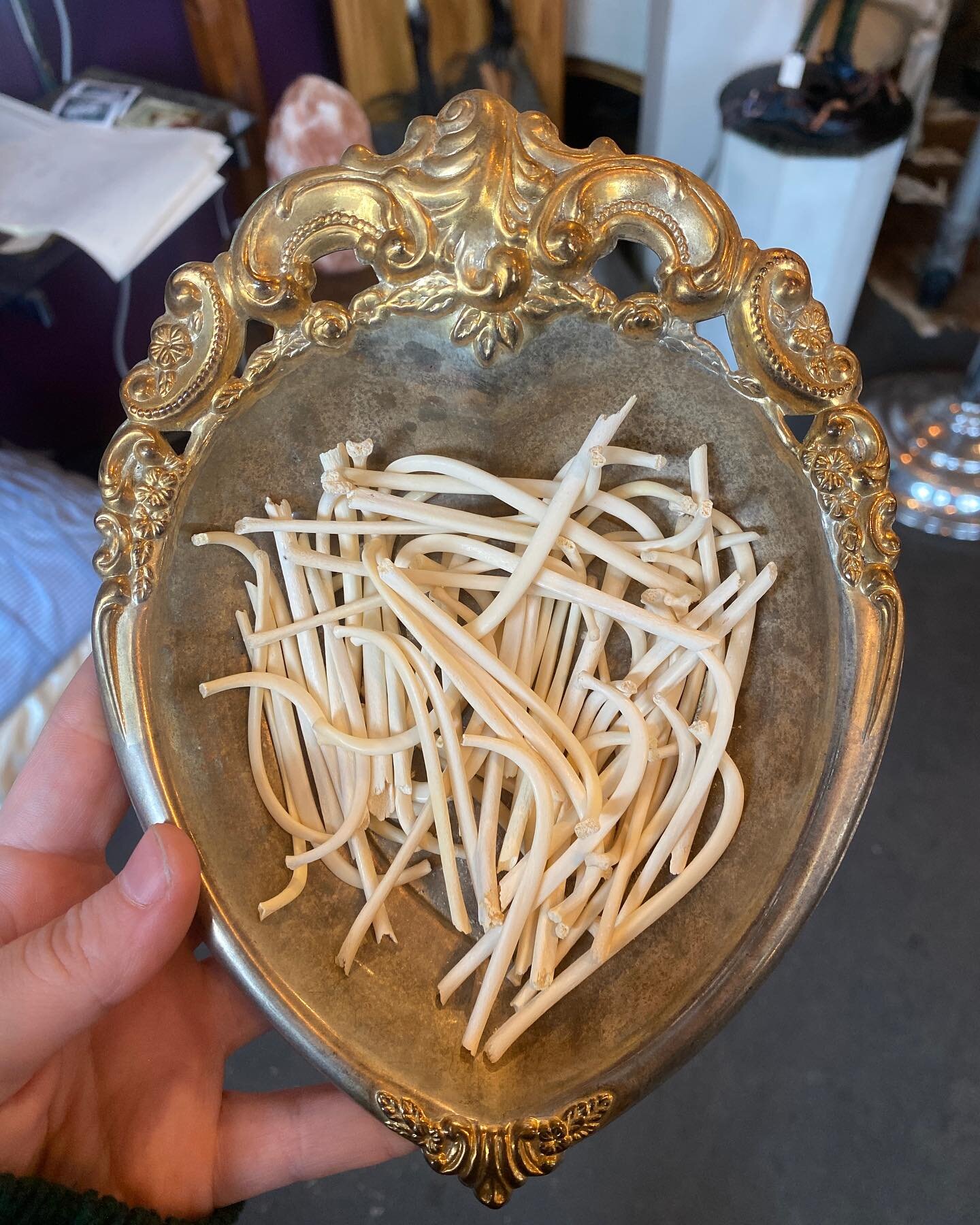 Can you guess this bowl of bones? 🦴 ❓
.
.
.
.
.
.
#strange #unusual #thestrangeandunusual #oddities #oddity #bones #animalbones #animalbone #odditiesandcuriosities