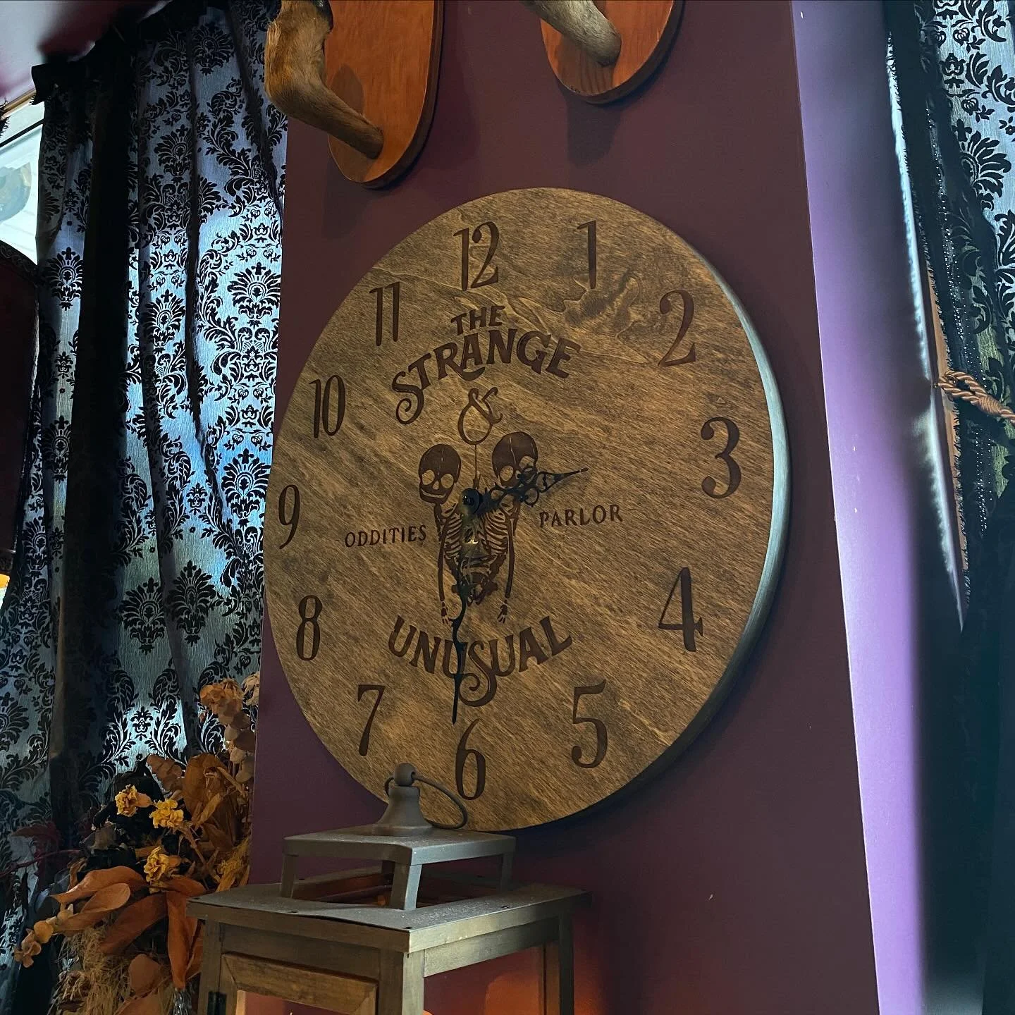 Would ya look at the time! ⏰ It&rsquo;s time to stop by The Strange &amp; Unusual this weekend! We&rsquo;re open today  12pm-6pm ✨
.
.
.
.
.
#strange #unusual #thestrangeandunusual #oddities #oddity #spookyseason #october #spookyszn🎃👻 #spookyszn