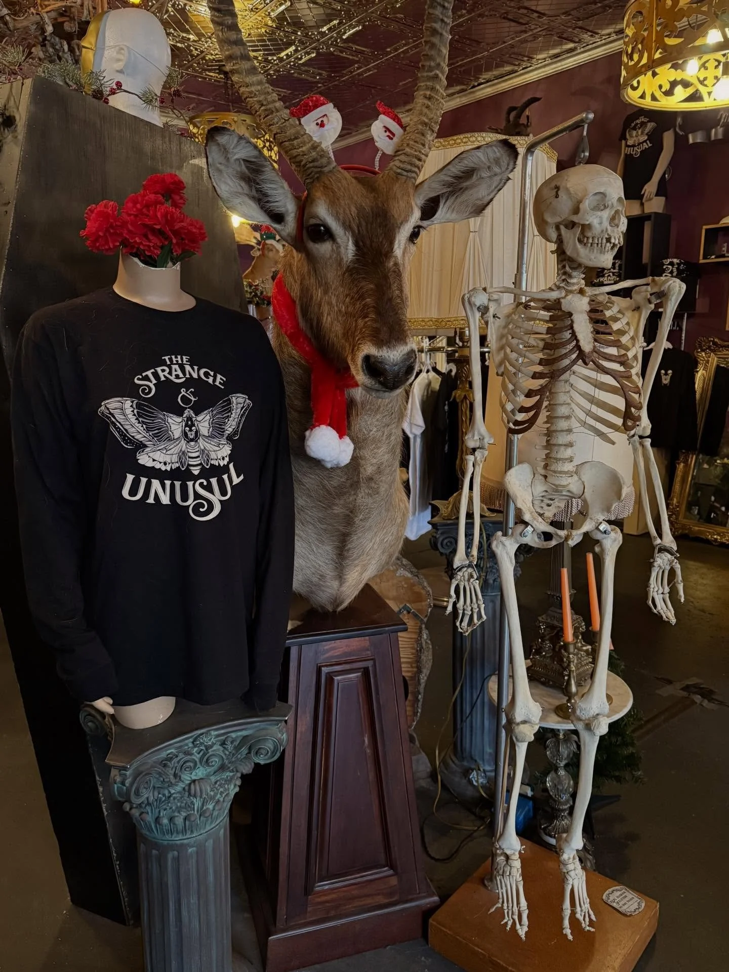 We will be OPEN today pending any changes in the weather! Keep an eye on our socials for any updates ❄️