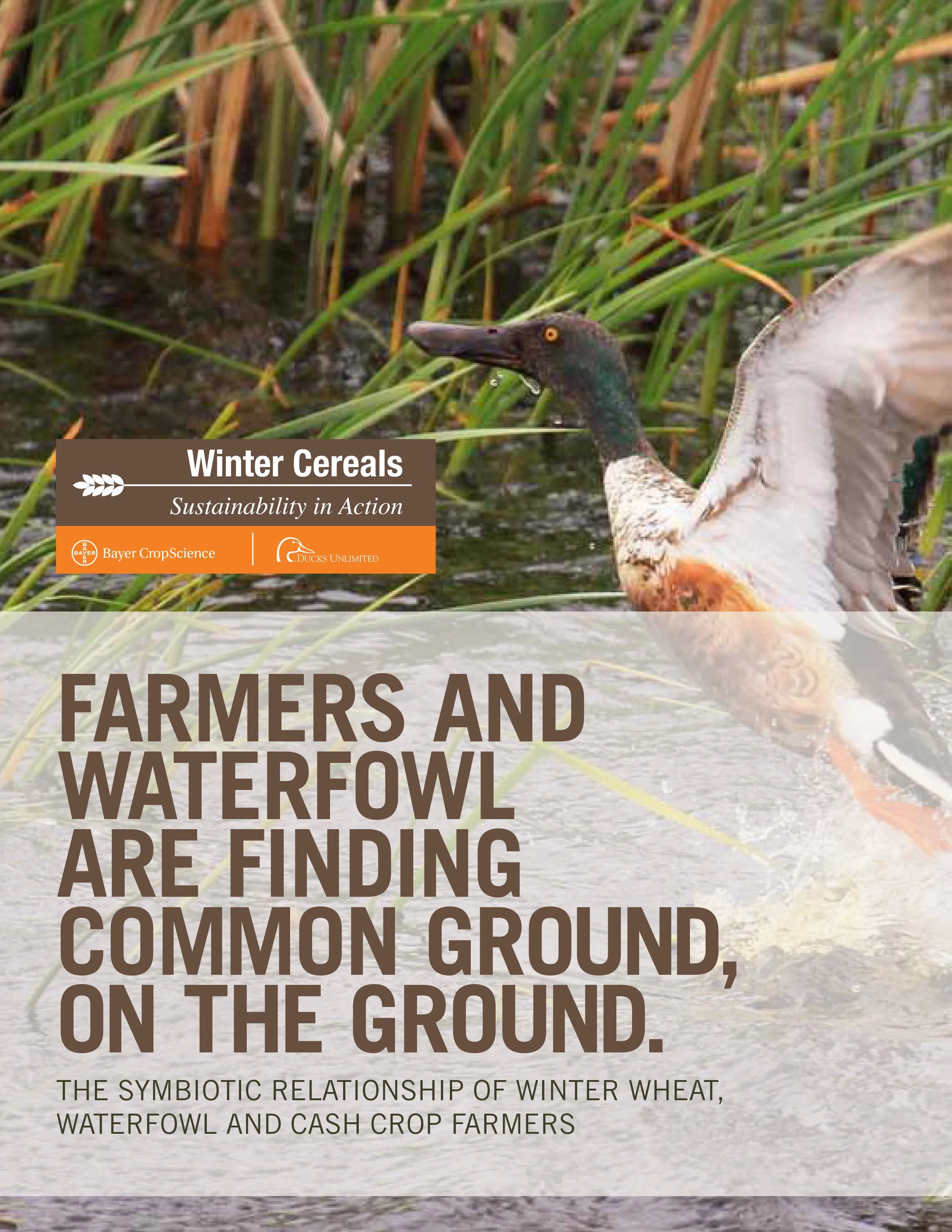 Bayer CropScience & Ducks Unlimited Winter Cereals Sustainability in Action Brochure