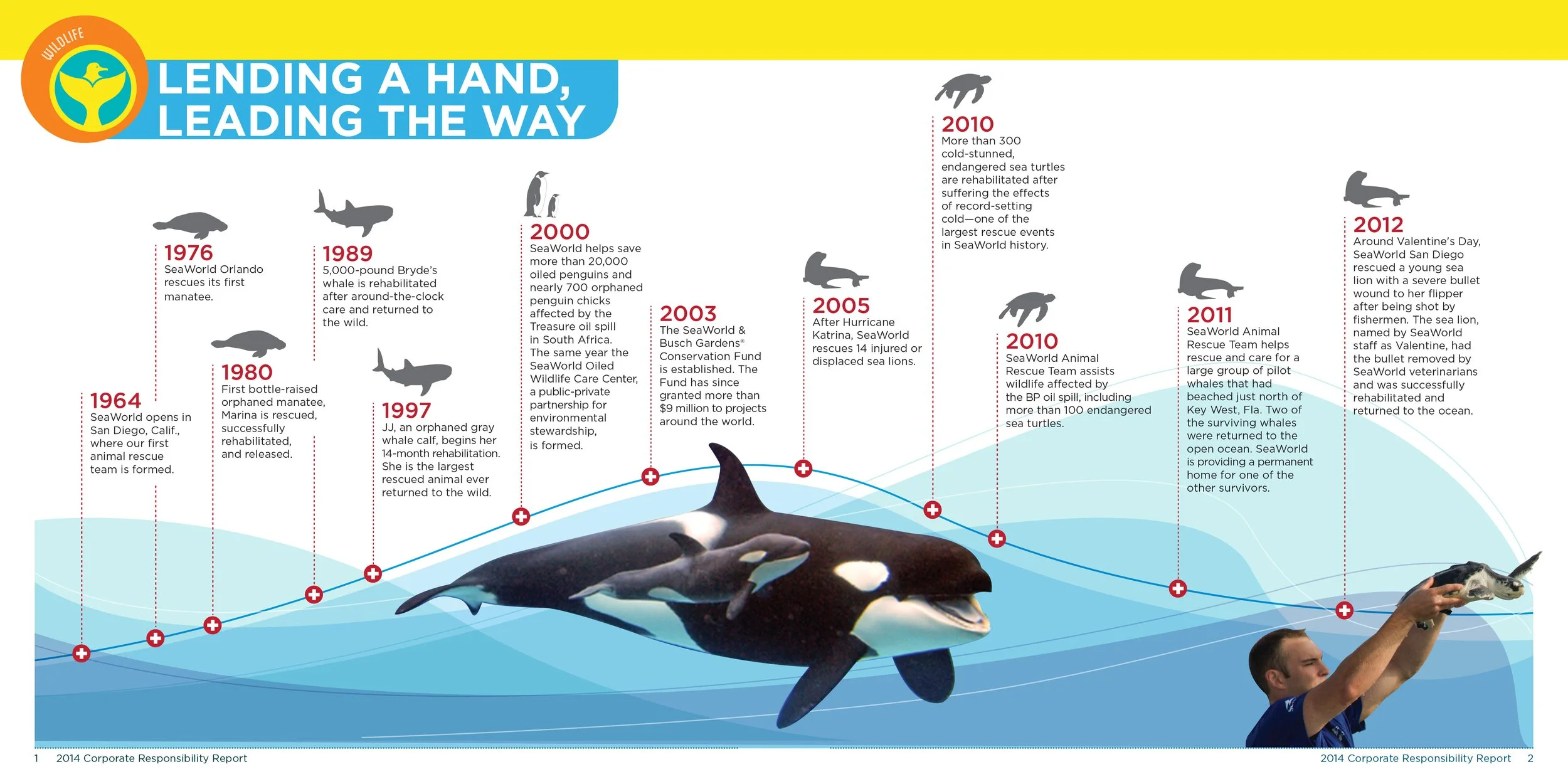 Seaworld Infographic