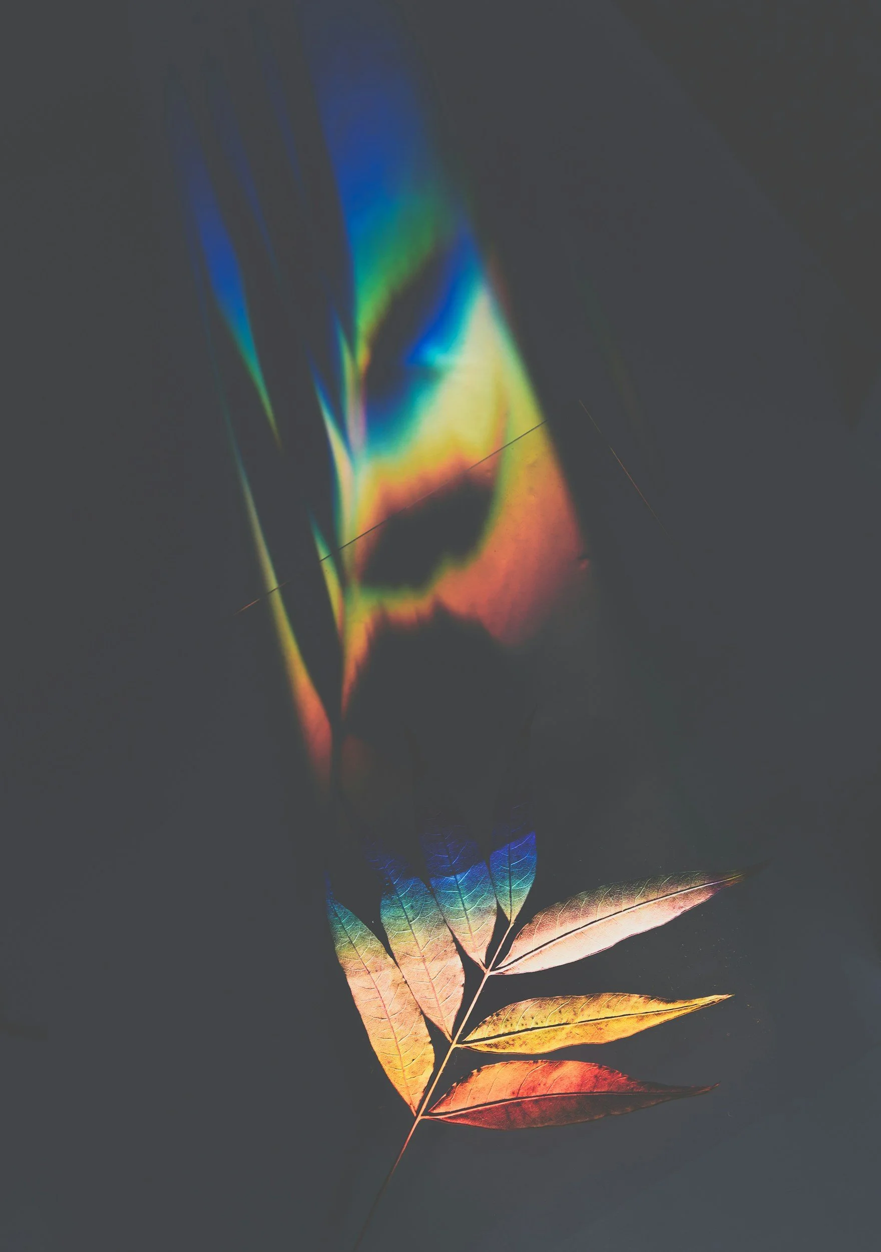 unsplash-image-jRlGgT0FQsM.jpg