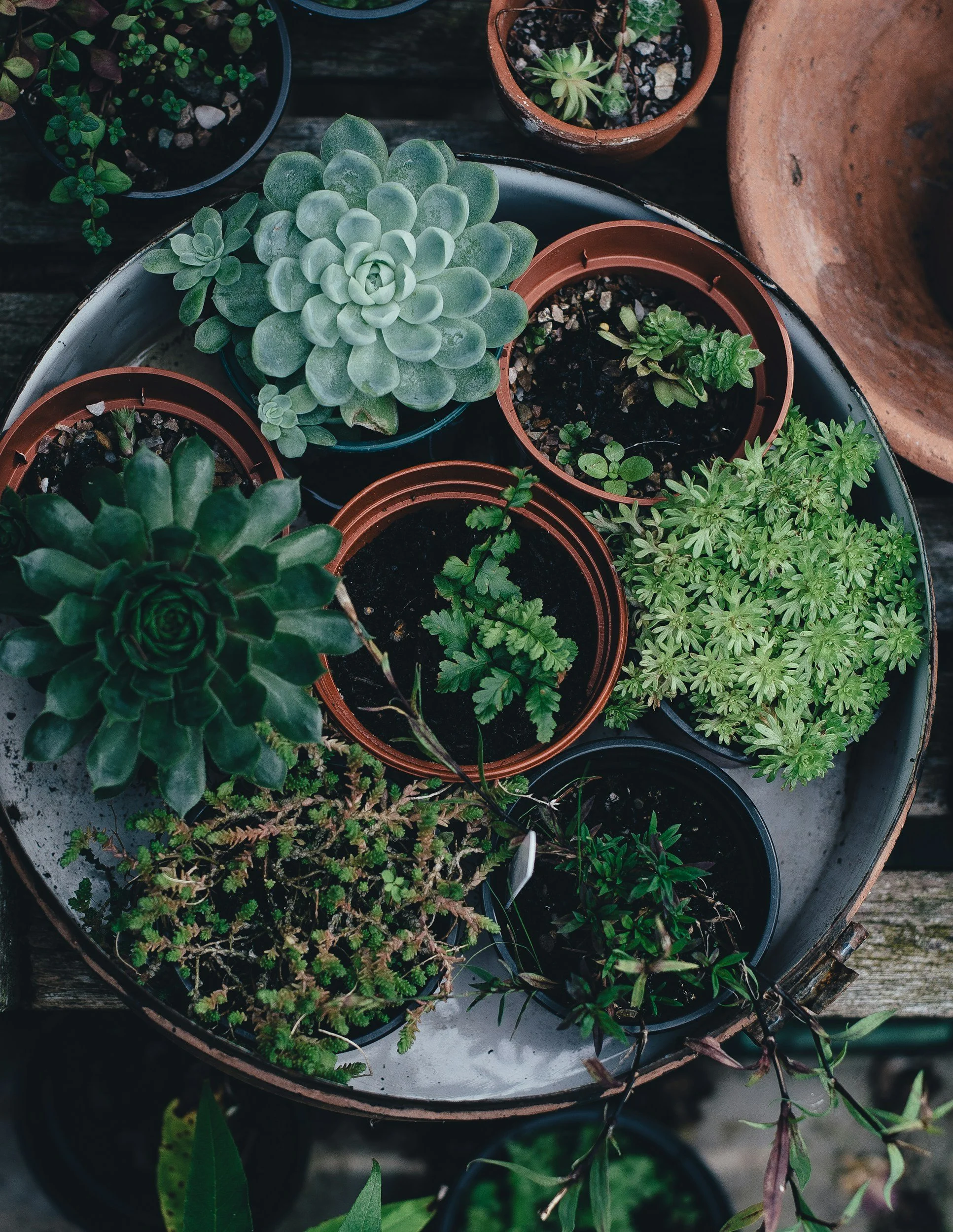 unsplash-image-3ru30g-1l2M.jpg