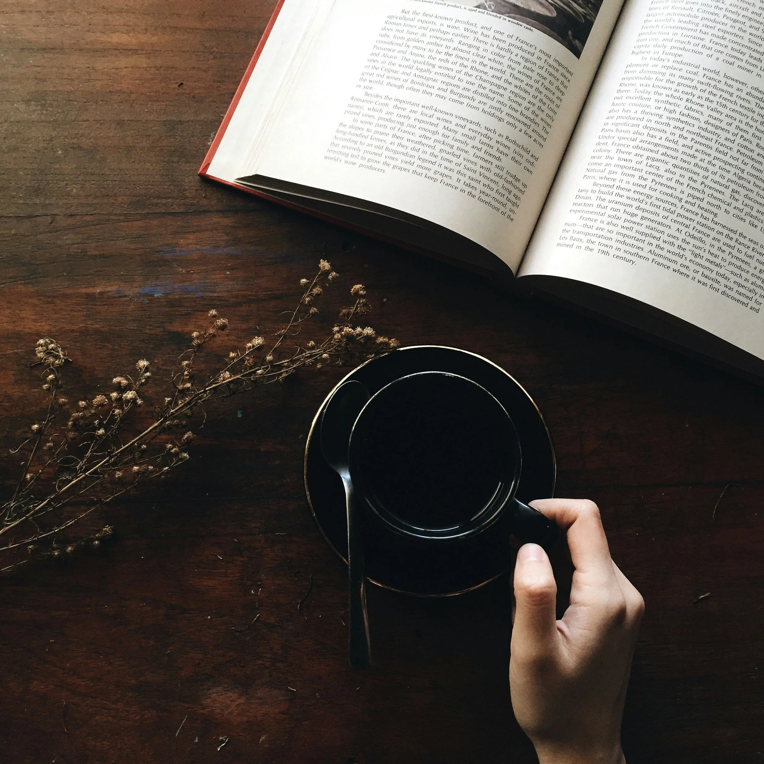 Open book on a wooden table with a dry plant and a hand holding a black cup with a spoon inside.