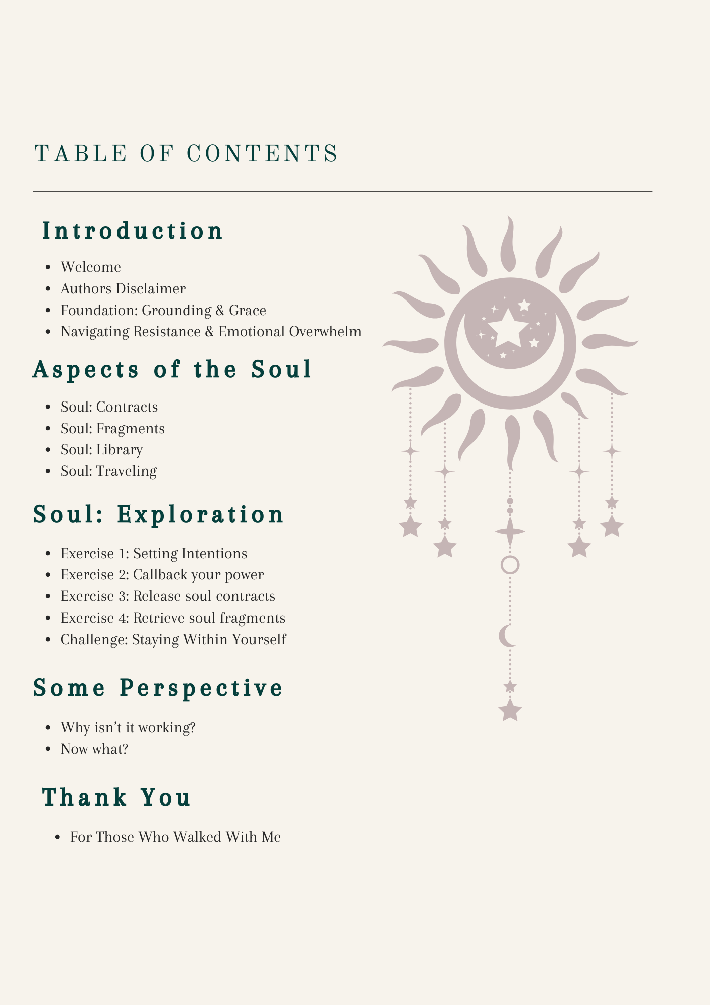 Table of Contents.png