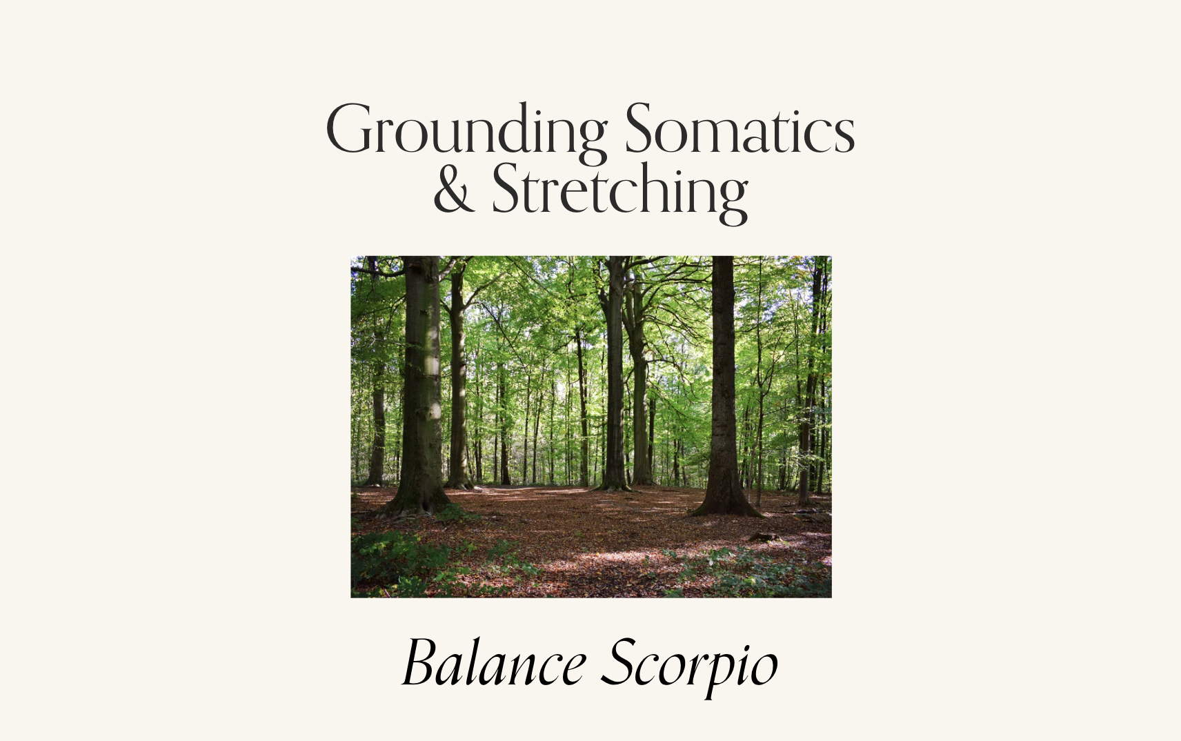 Screen Shot 2024-10-21 at 11.51.54 AM.png