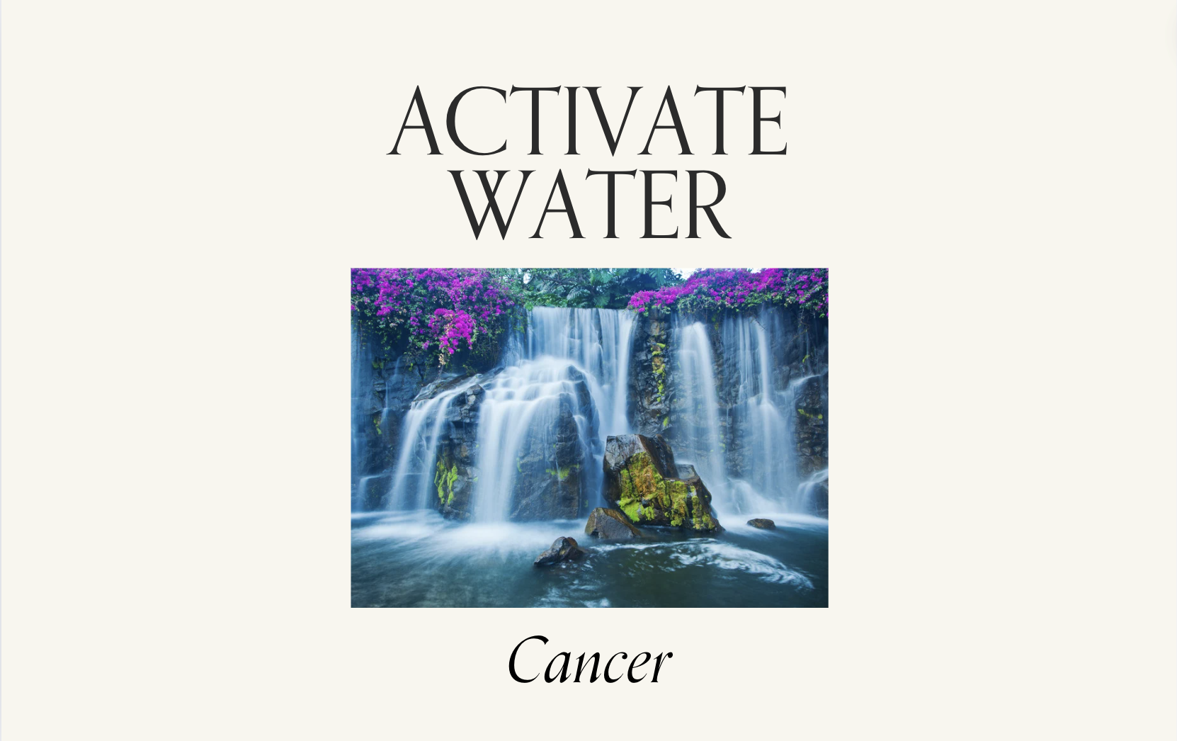 Screen Shot 2024-06-13 at 2.18.05 PM.png