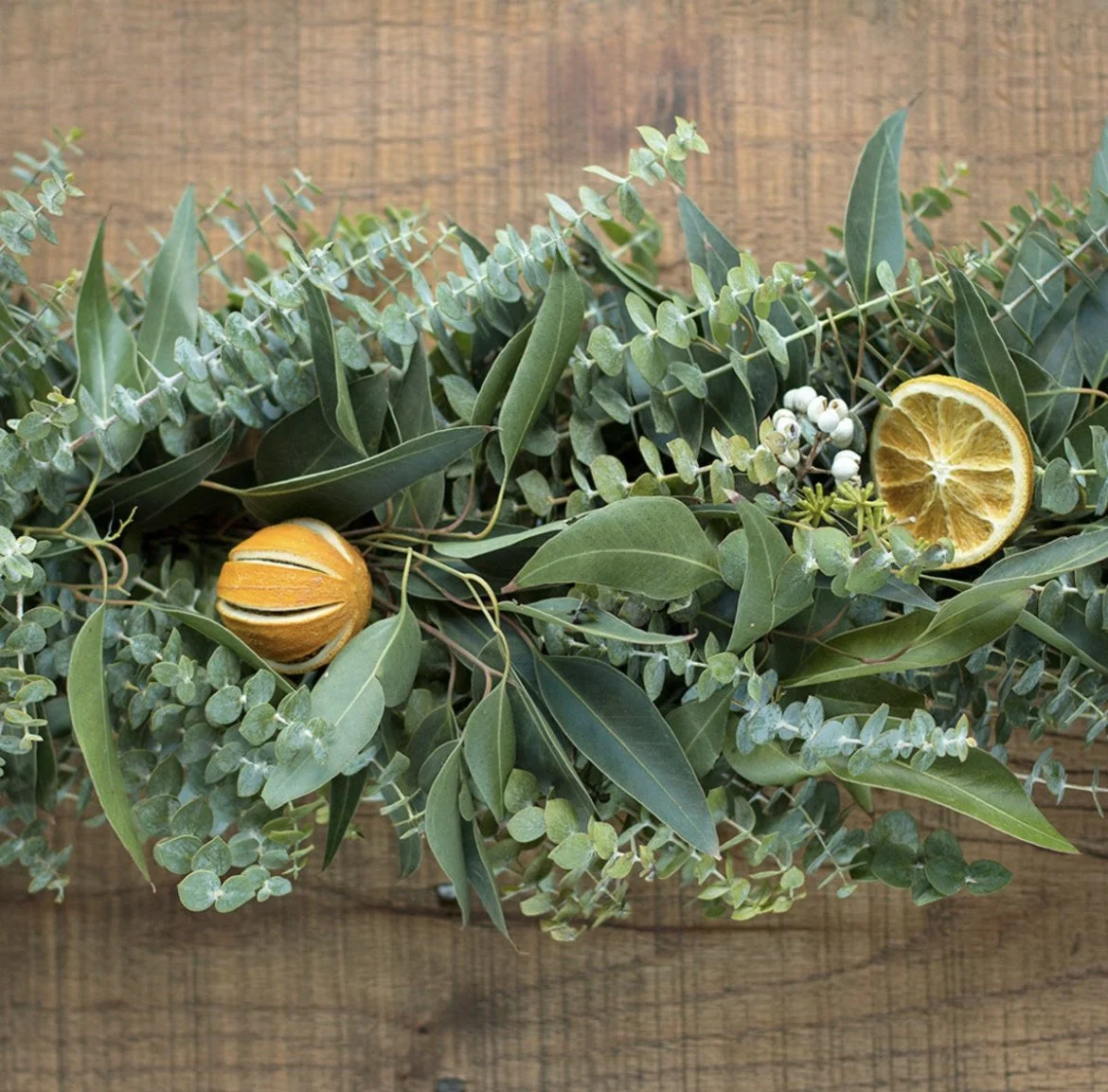 Eucalyptus Orange.jpg