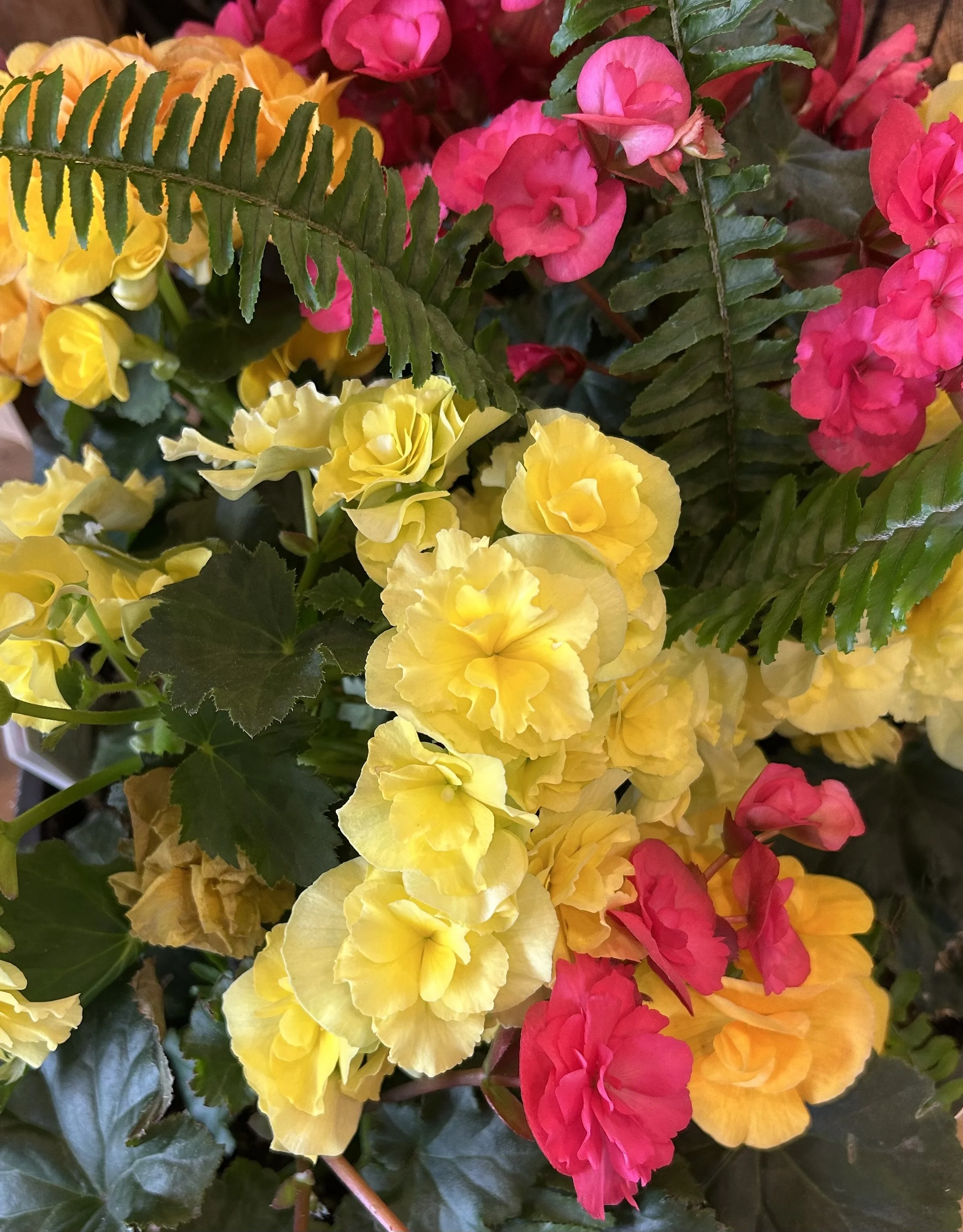 Mothers Day Celebration!