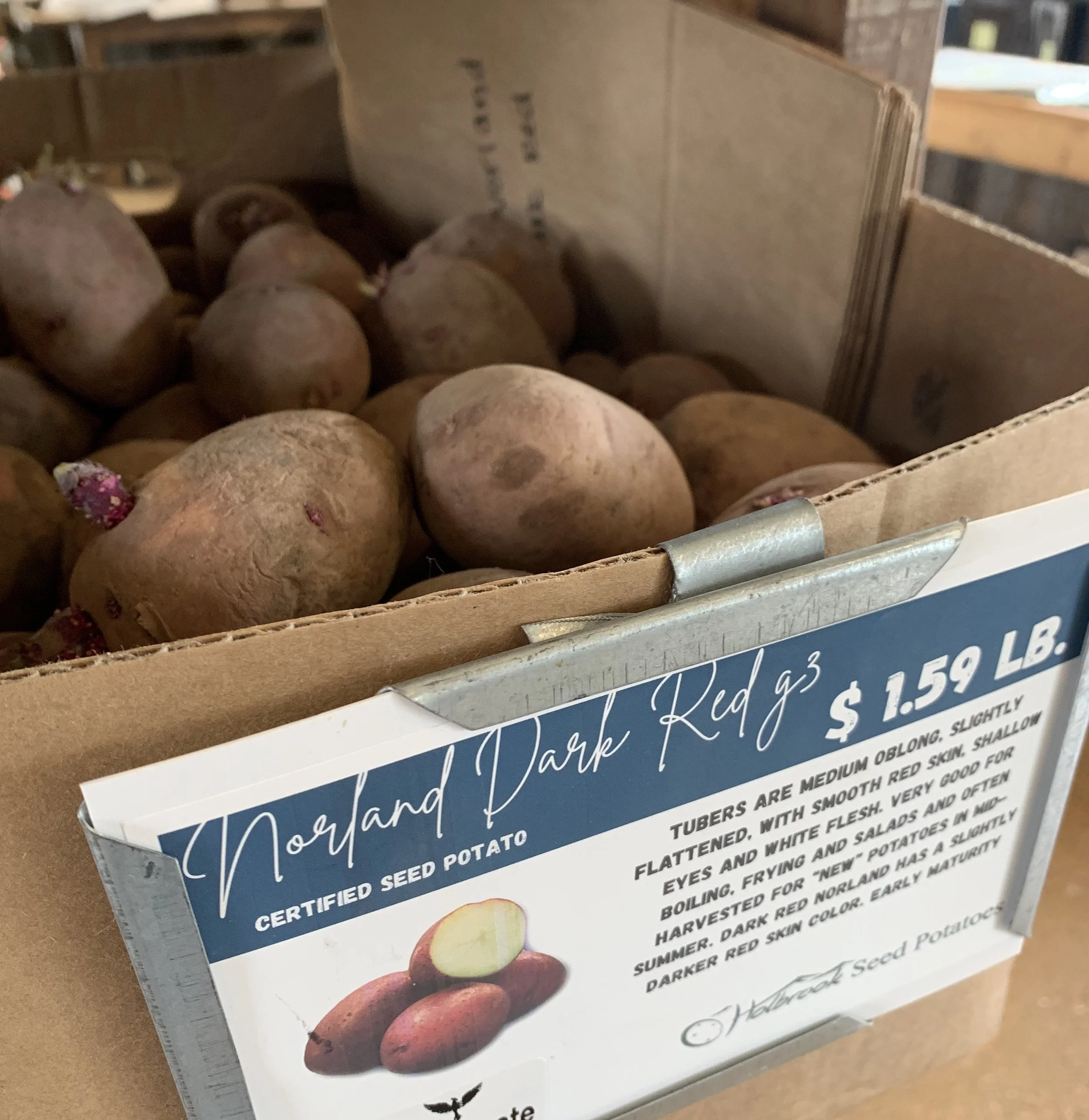 Growing Potatoes in Montana