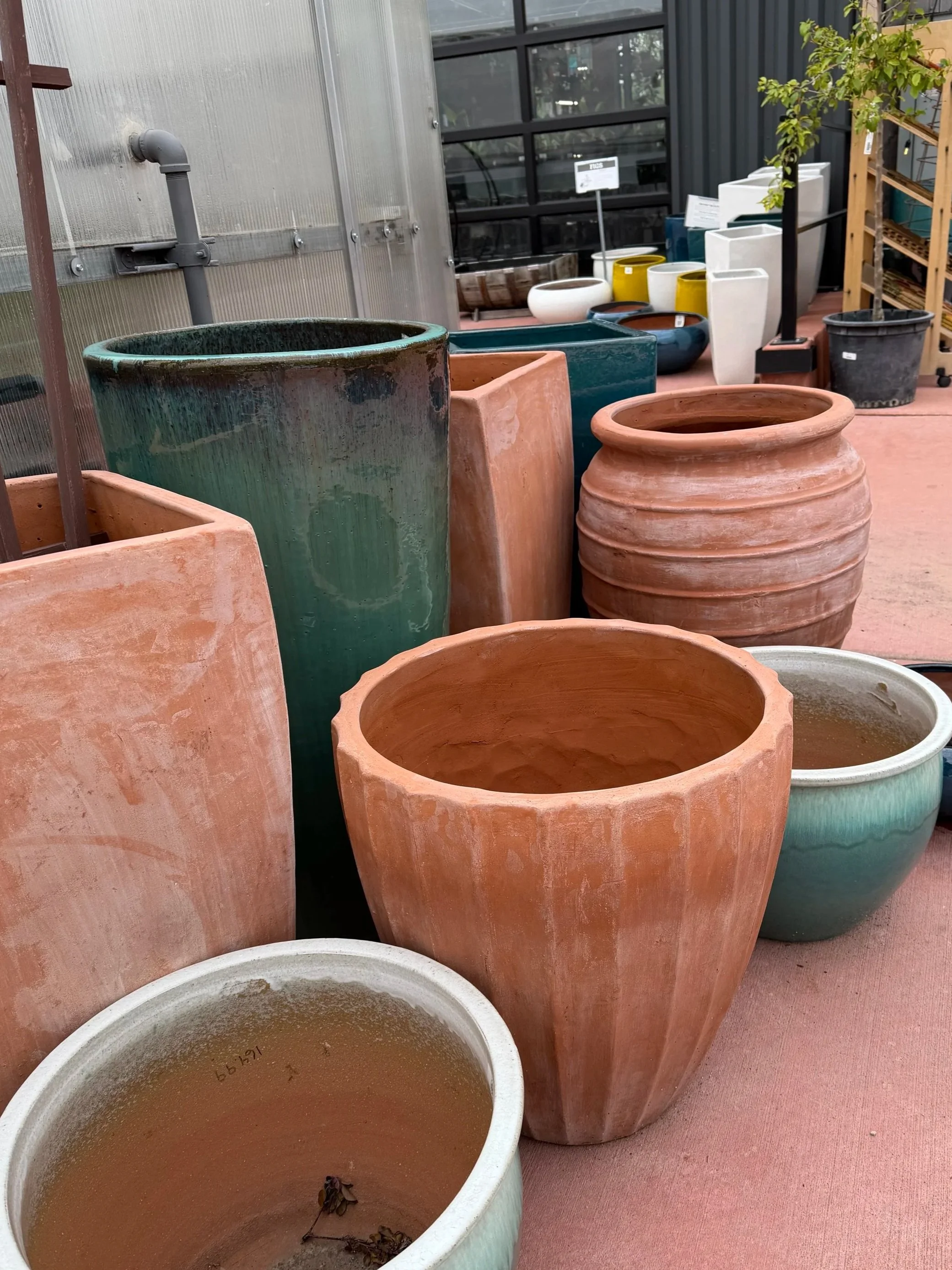 Photo of Large Ceramic Planters