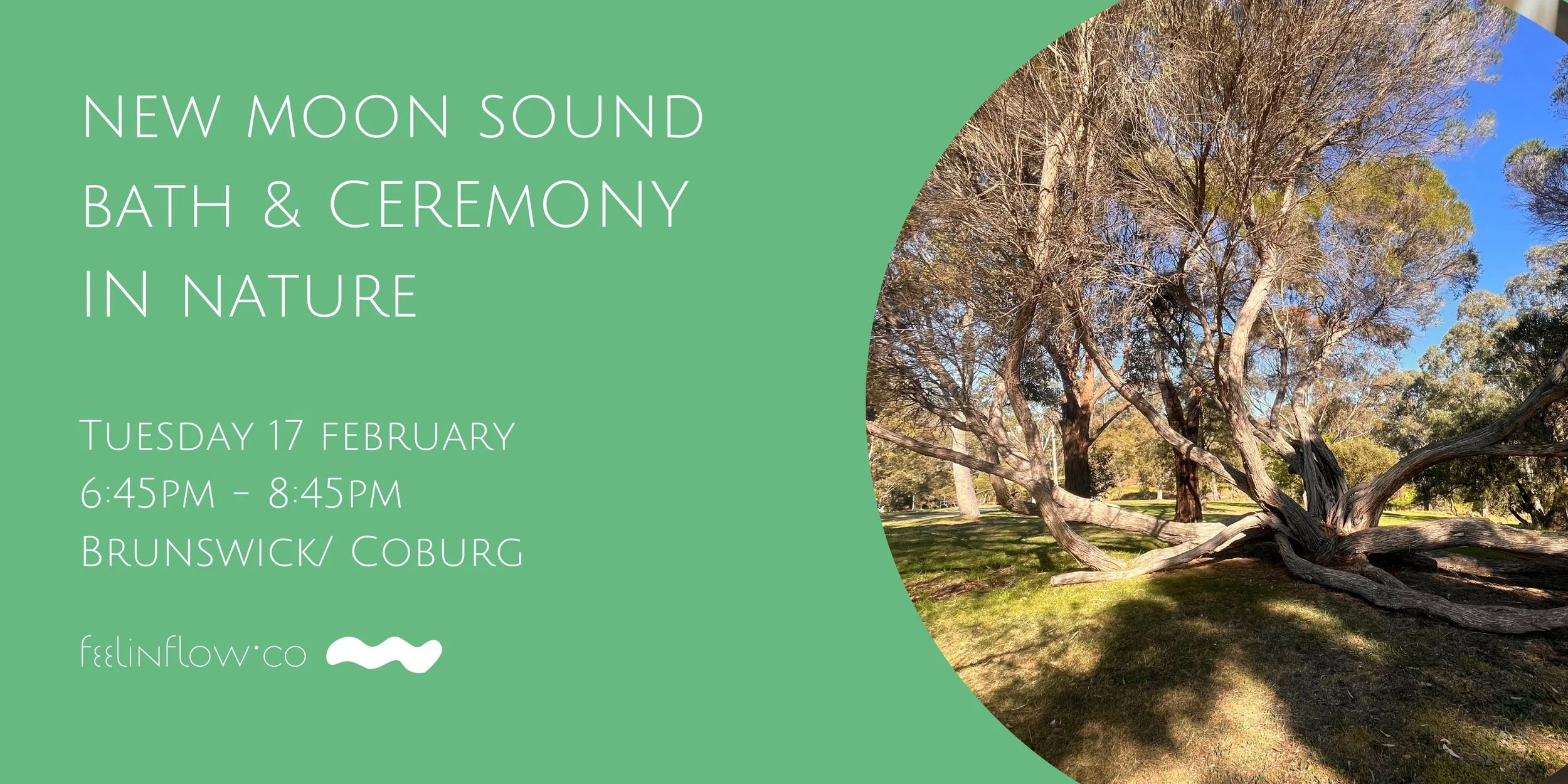 Sound Bath &amp; New Moon Ceremony in Nature (February)