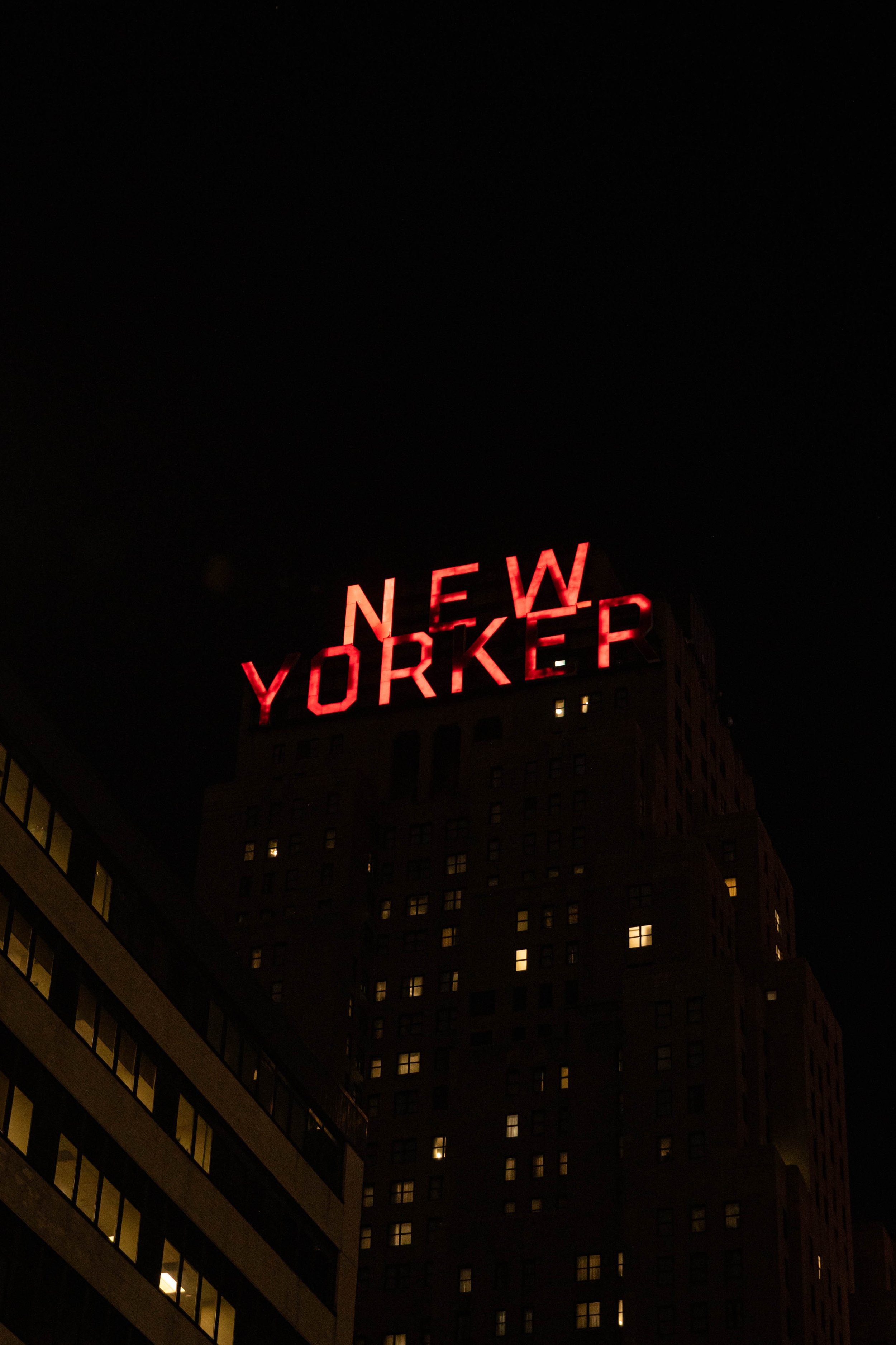 272A7449.jpg
