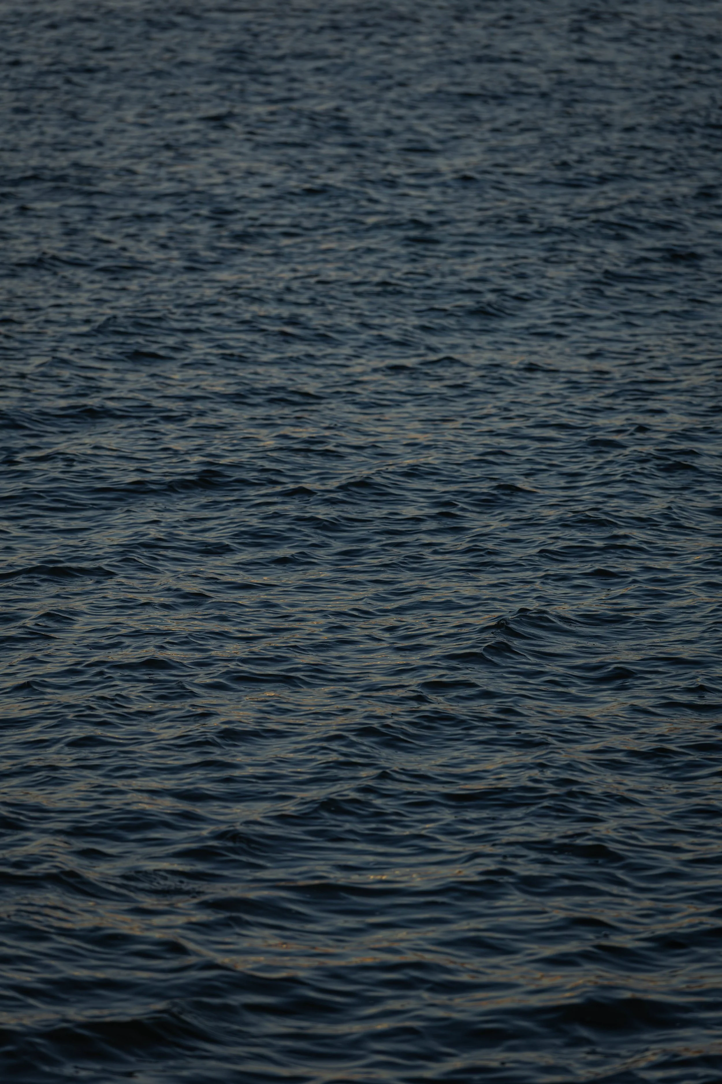 272A3254.jpg