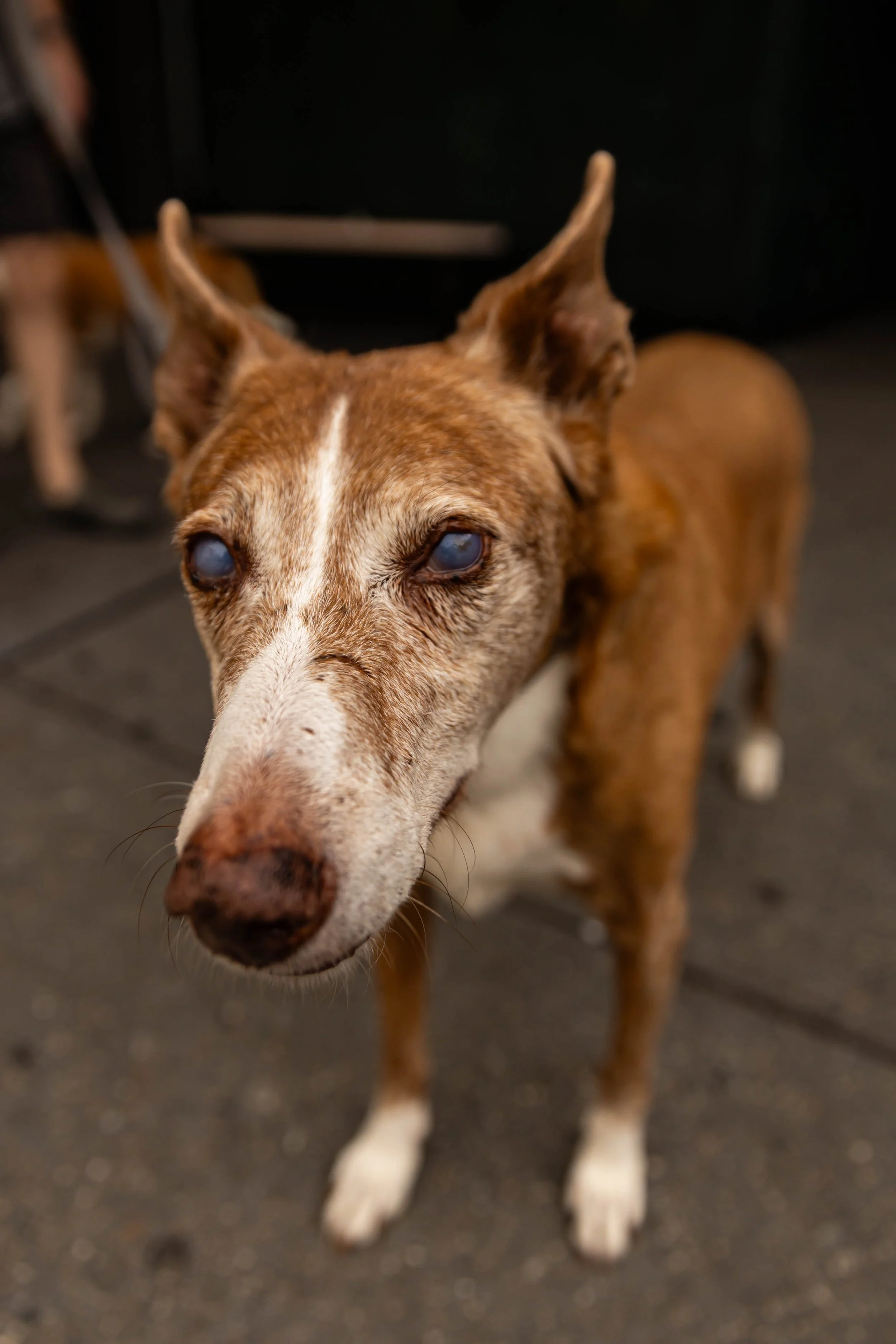 CarolineZimmerPhotography-SP9.jpg