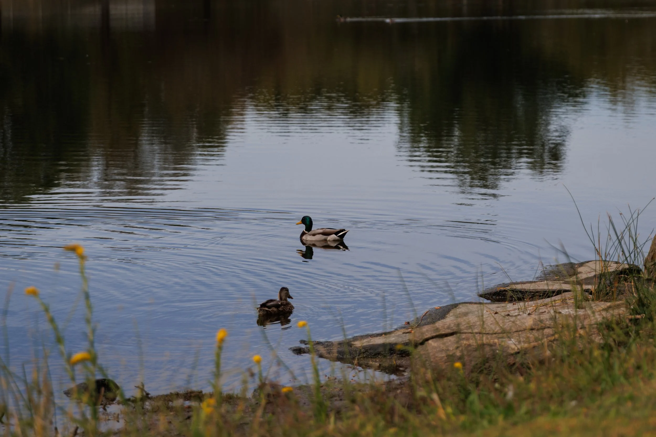CarolineZimmerPhotography-2.jpg