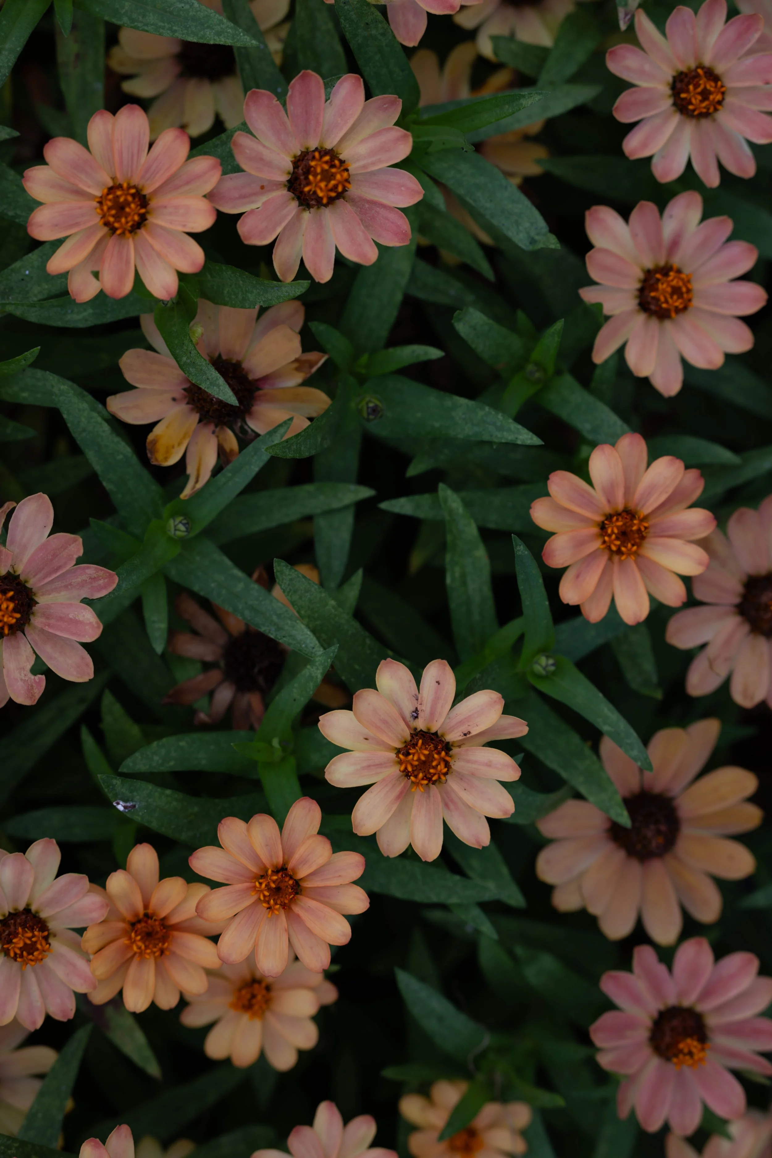 272A3381.jpg