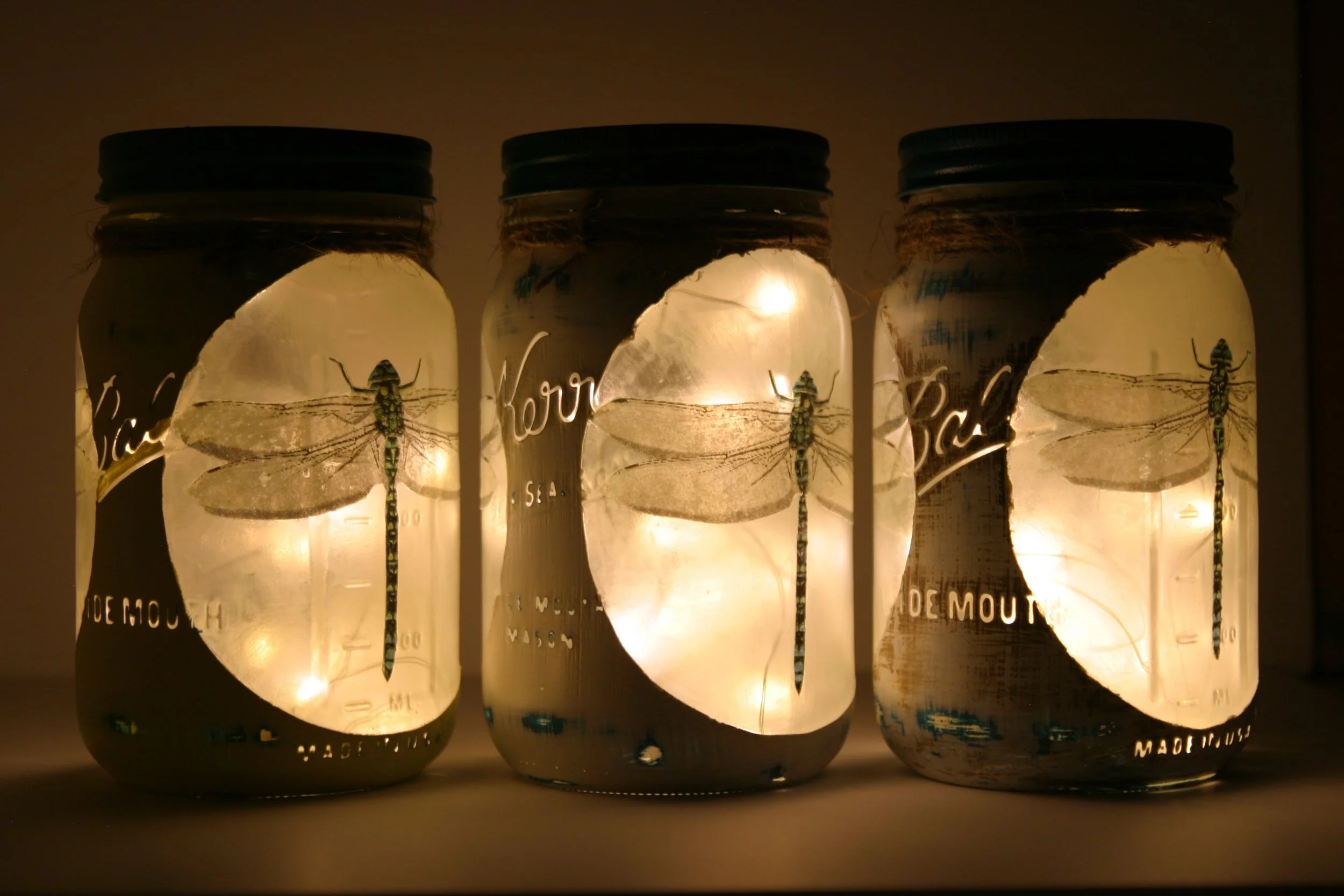 Mason_Jar_Dragonfly_Group_night.jpeg