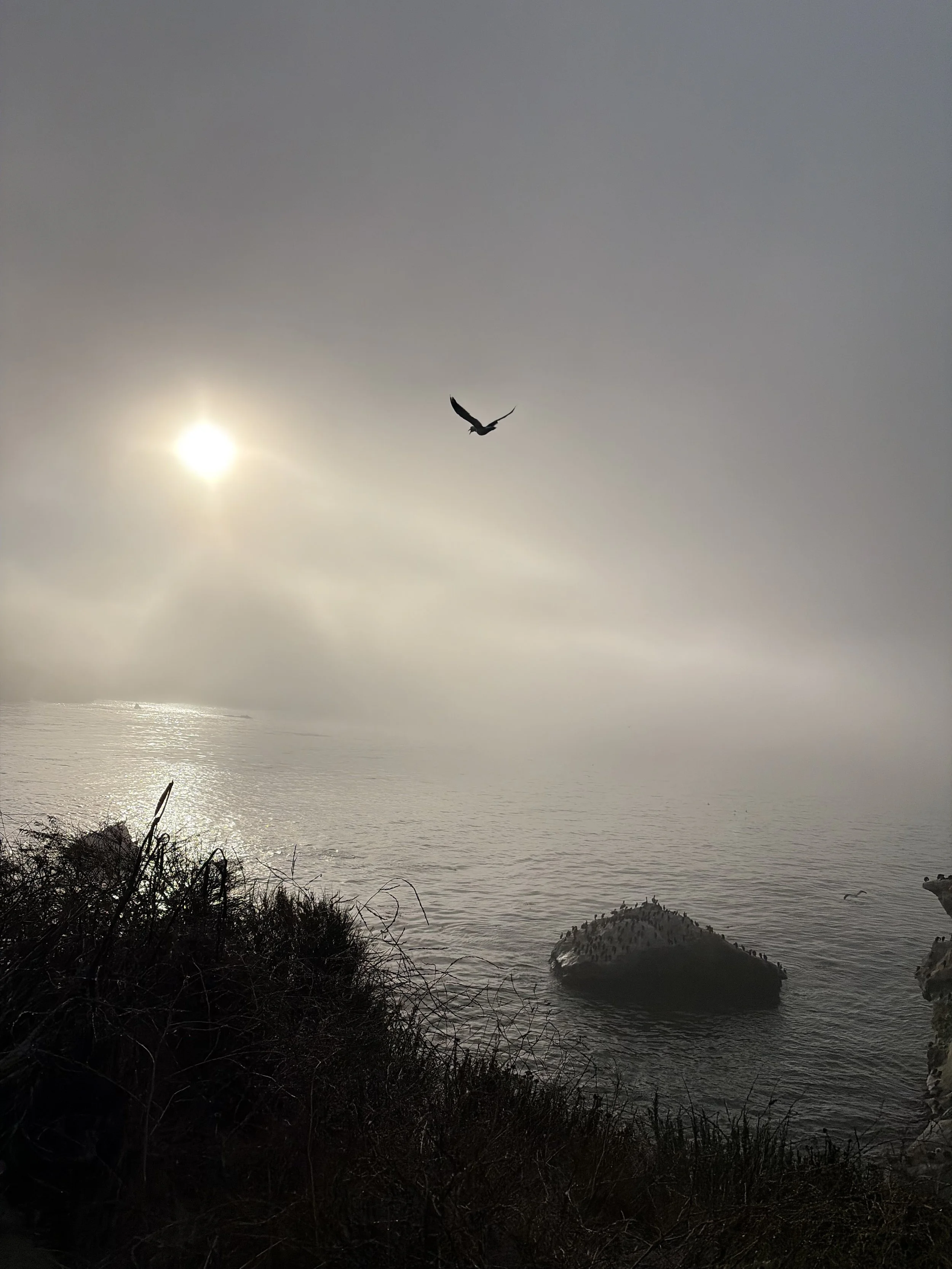 IMG_2750 2.jpeg